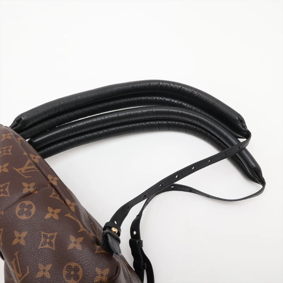 Monogram Palm Springs Backpack PM M41560 FL4128 Brown — view 6