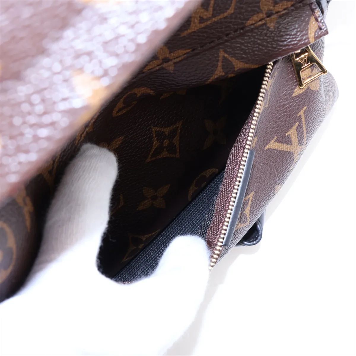 Monogram Palm Springs Backpack PM M41560 FL4128 Brown — view 9