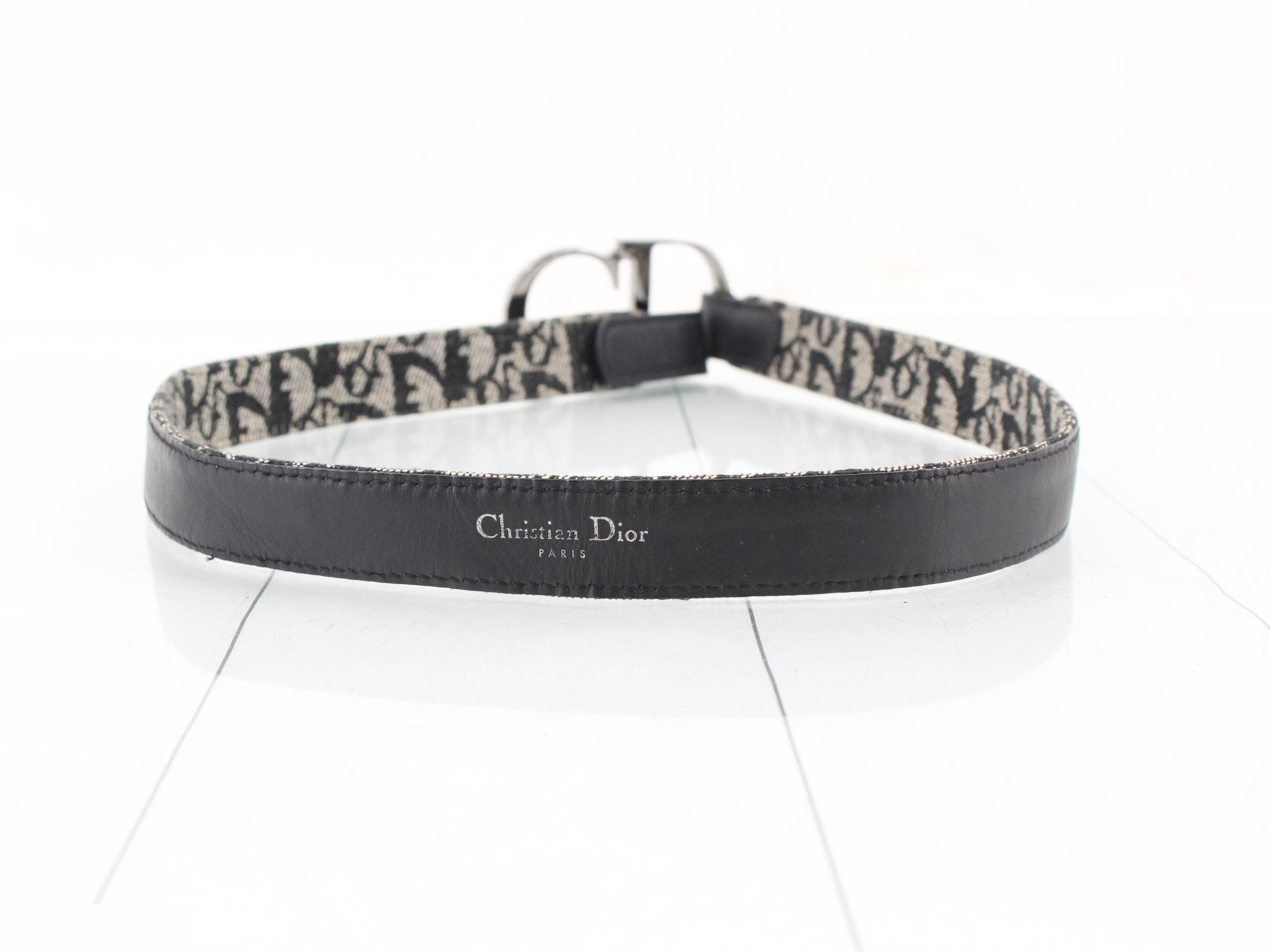 Trotter CD buckle belt — view 2