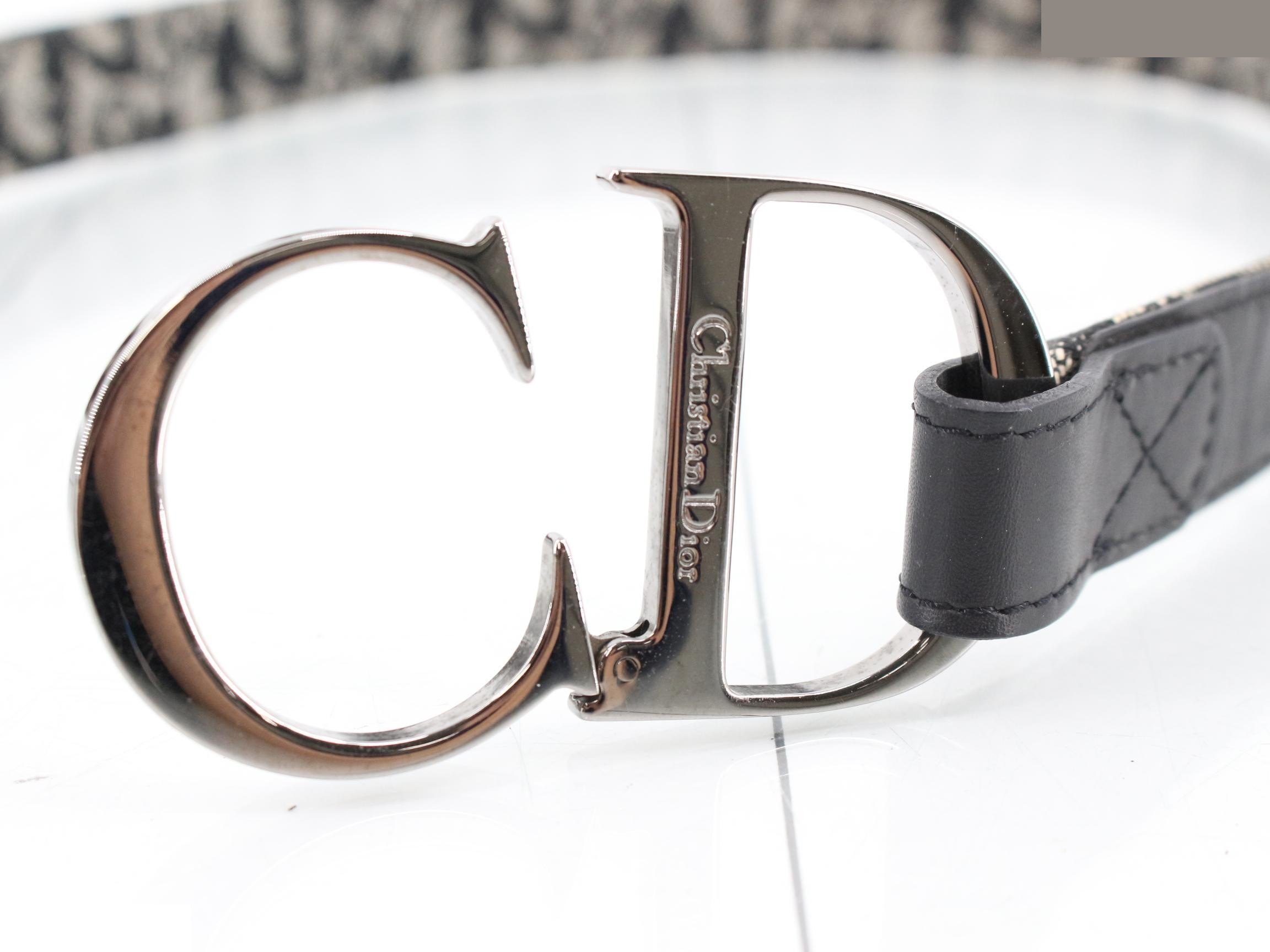 Trotter CD buckle belt — view 3