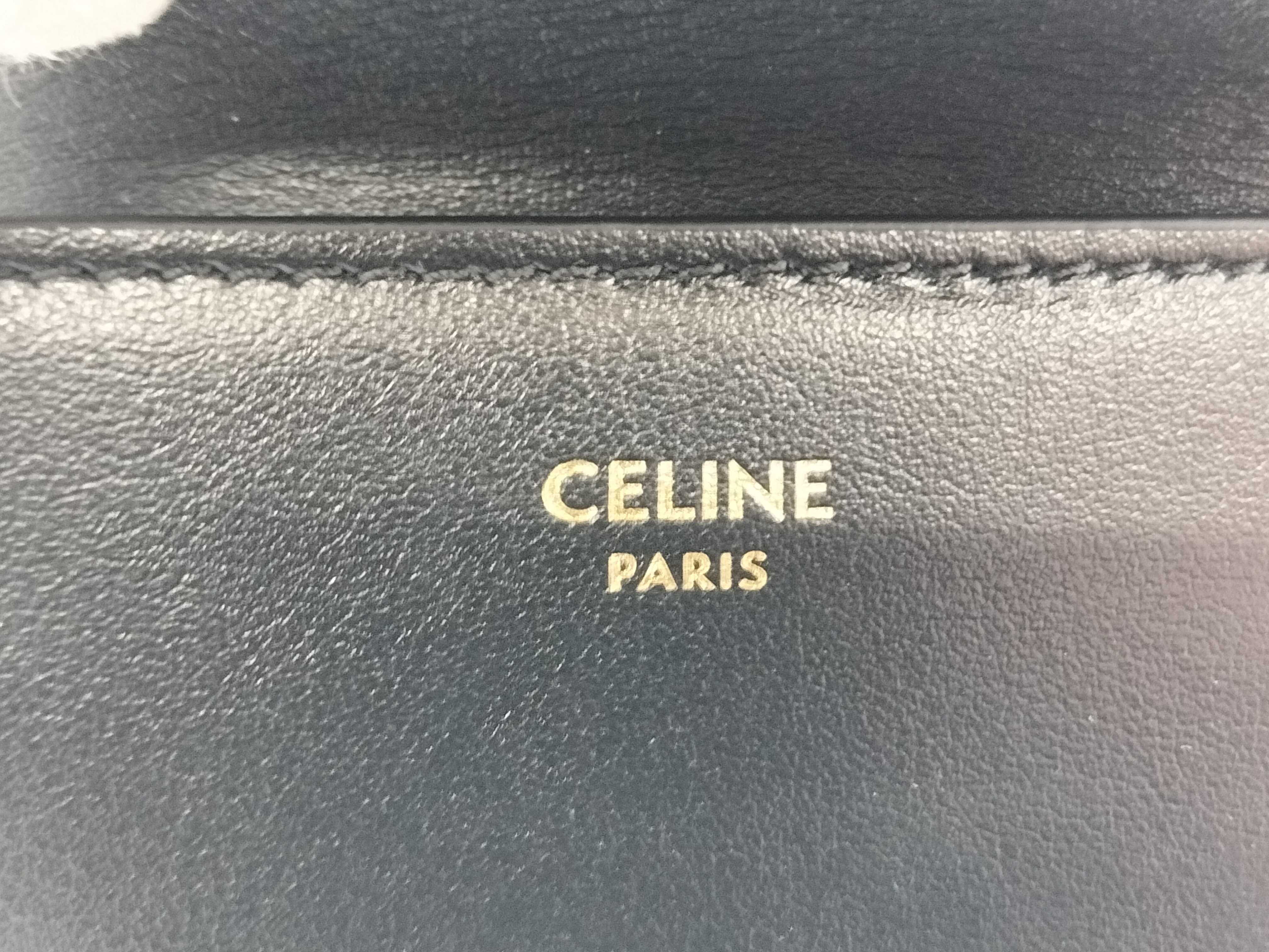 Leather Triomphe Wallet with Card Case — view 6