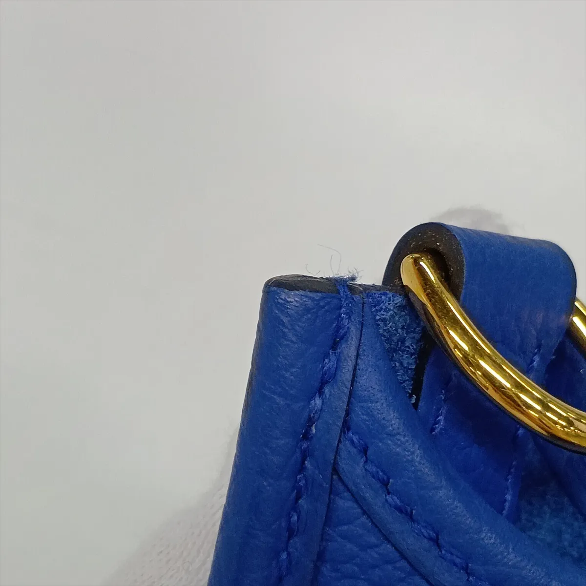 Evelyne 16 TPM Amazon Taurillon Maurice Blue Royal Gold Hardware W:2024 — view 8