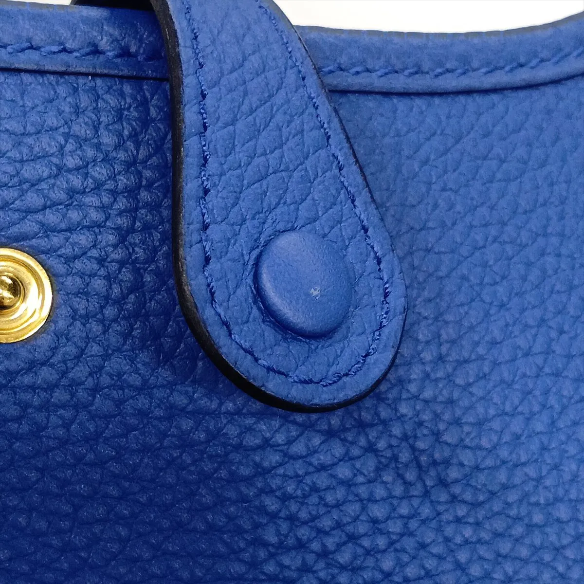 Evelyne 16 TPM Amazon Taurillon Maurice Blue Royal Gold Hardware W:2024 — view 9