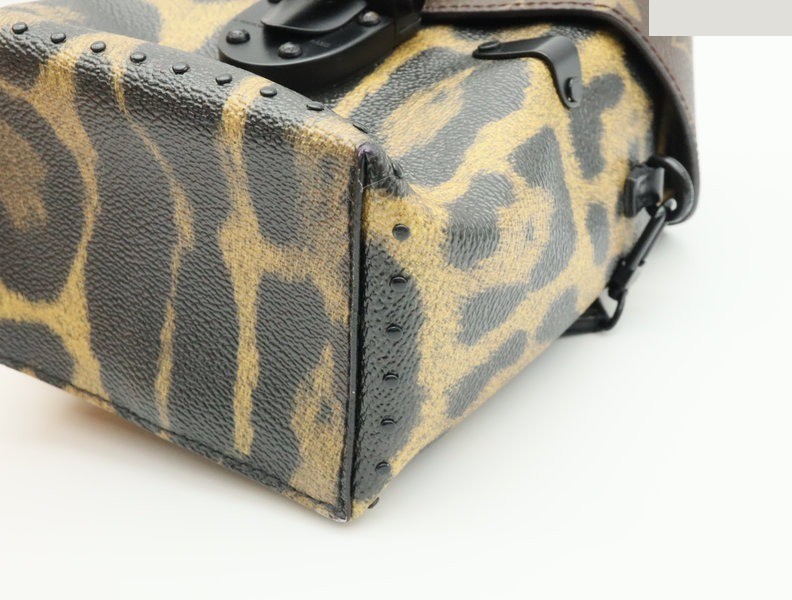 Leopard Camera Box — view 4