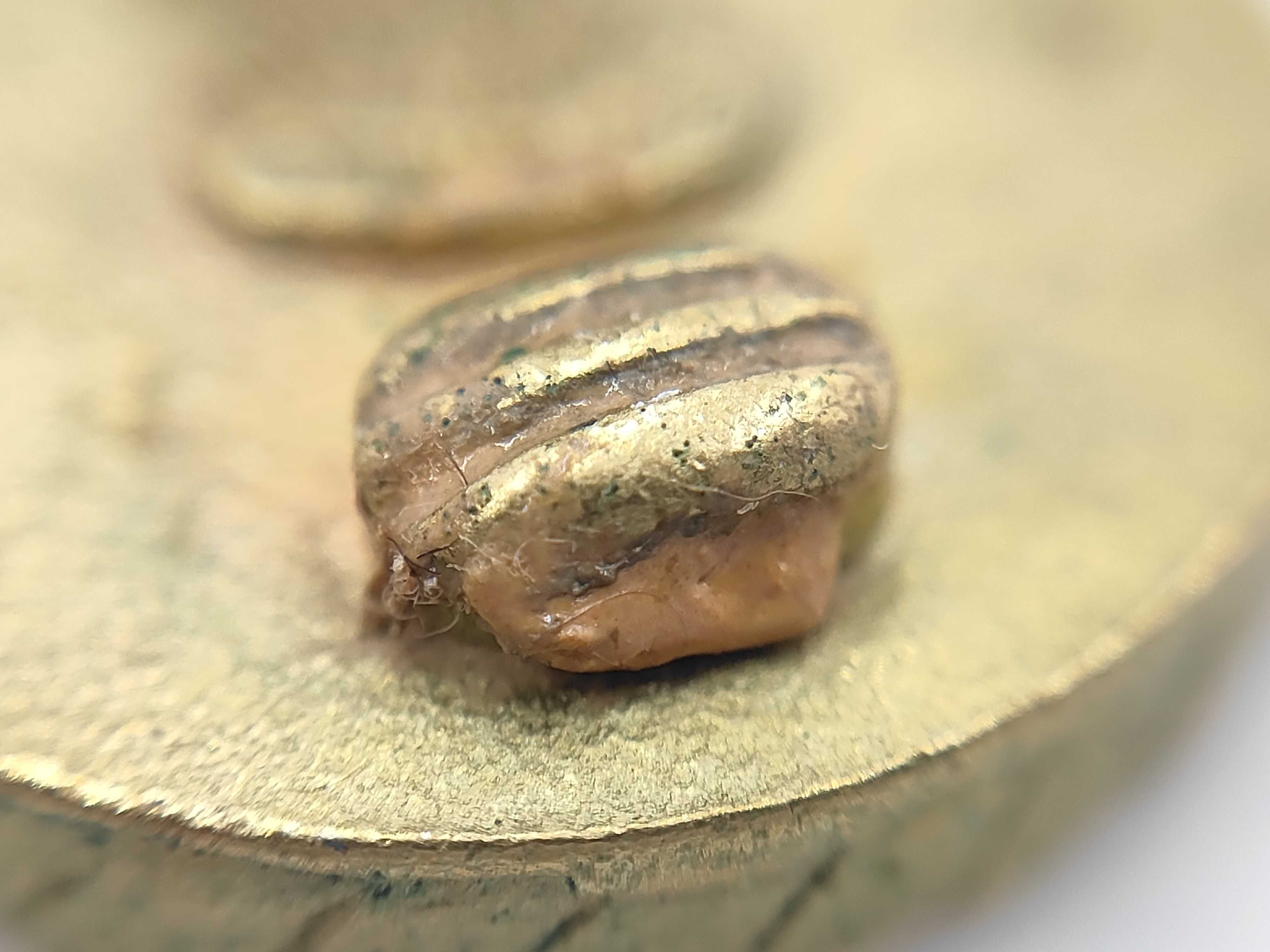 96A Coco Mark Earrings — view 6