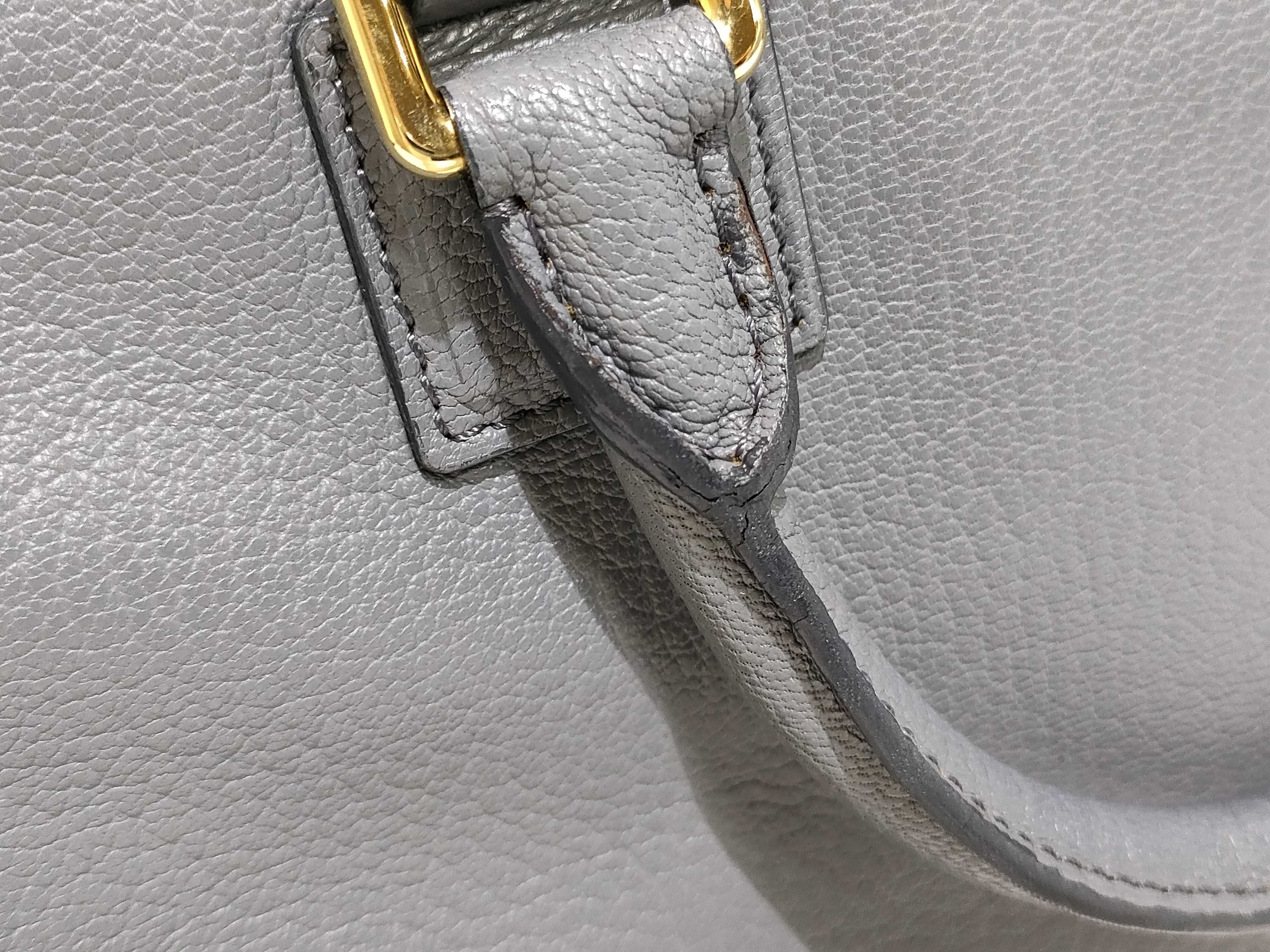 Amazona 28 Leather Handbag, Gray — view 14