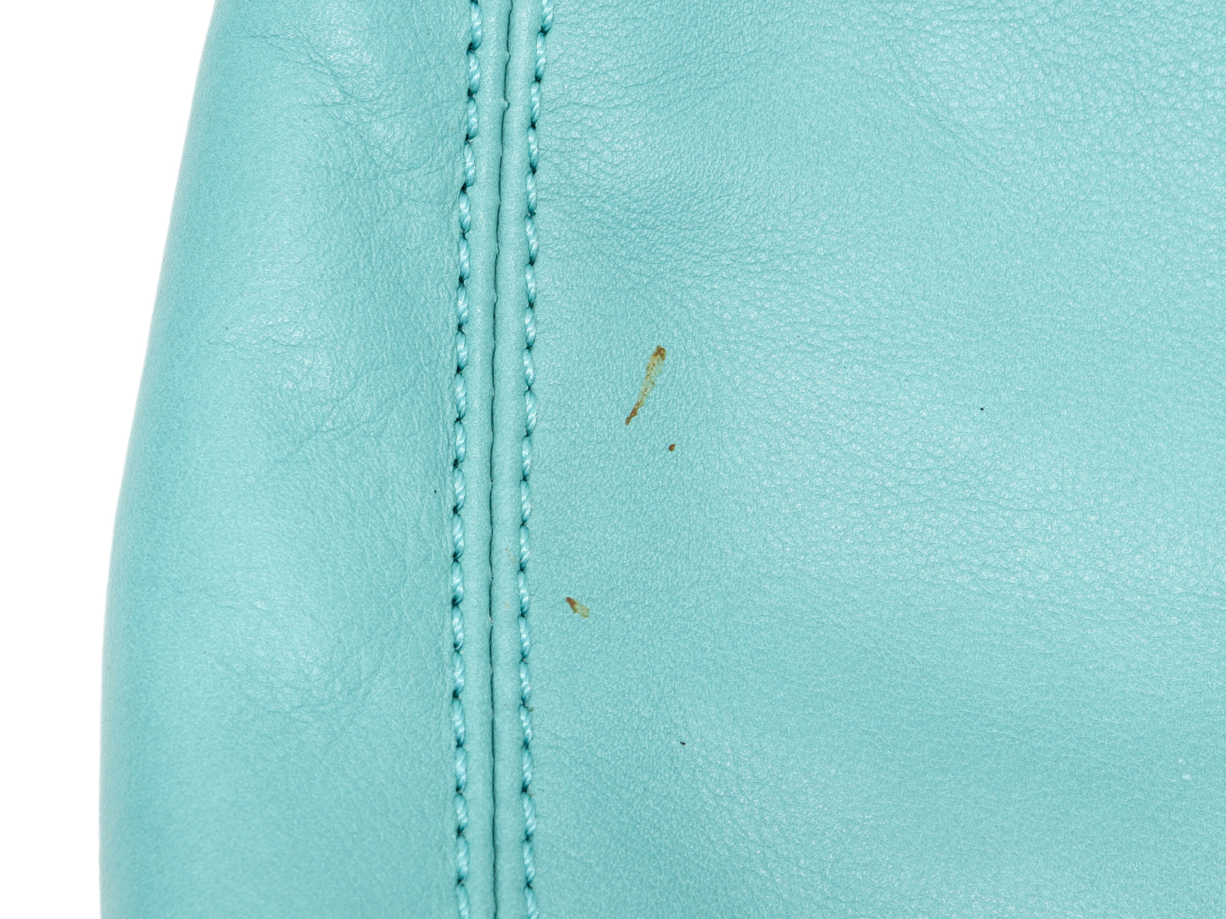 Lambskin Coco Shoulder Bag, Mint, Series 5 — view 7