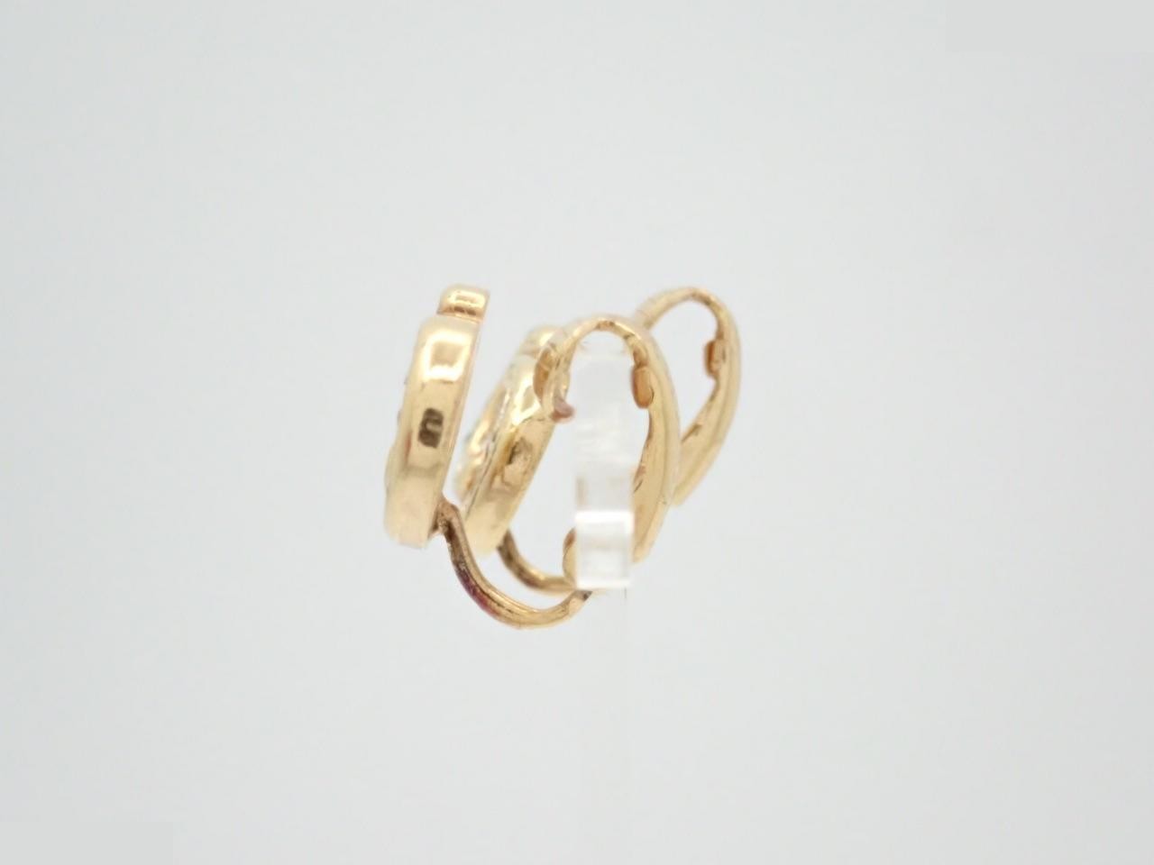 GP Earrings — view 3