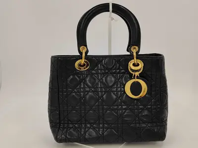 CD Back Handbag