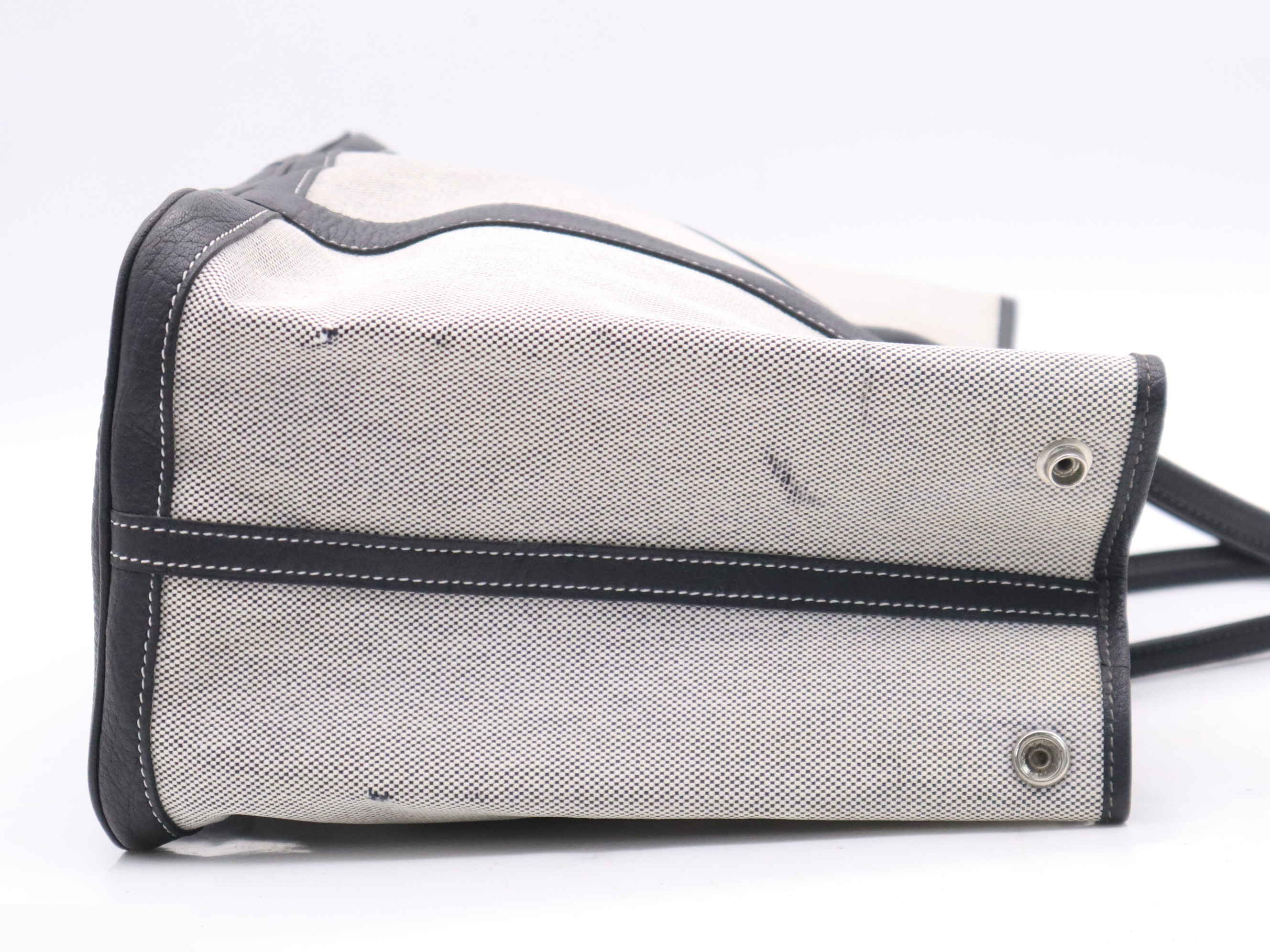 Toile H/Leather Garden Party MM Black White SV Hardware — view 5