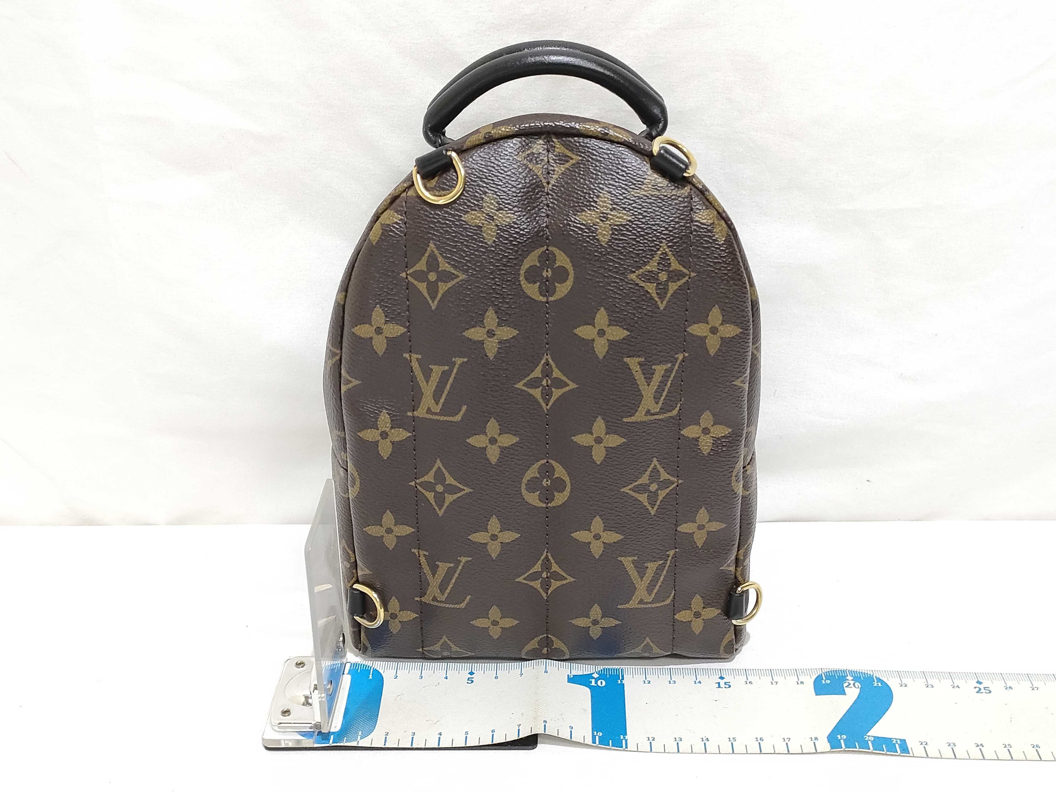 Monogram LV Palm Springs Backpack Mini Monogram M44873 Backpack — view 2