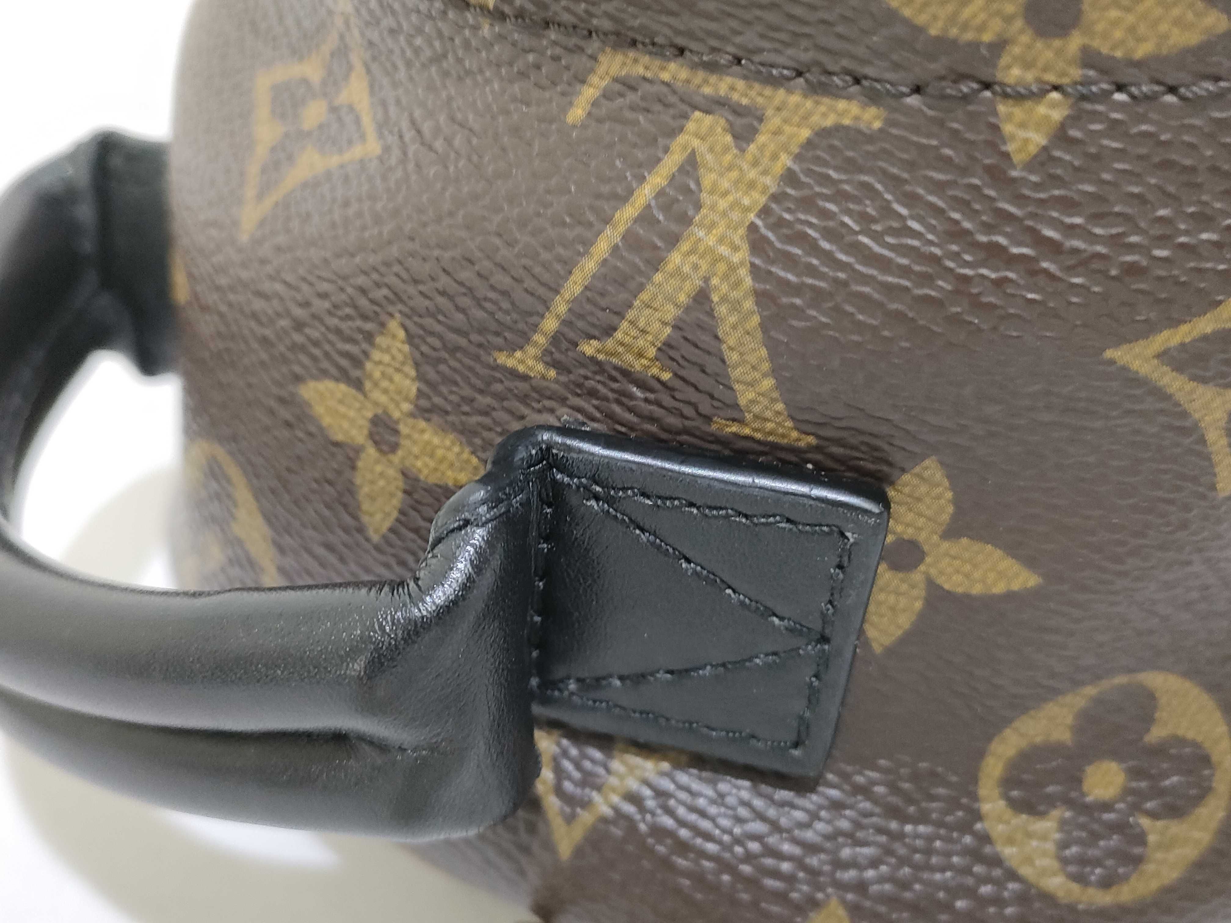 Monogram LV Palm Springs Backpack Mini Monogram M44873 Backpack — view 5