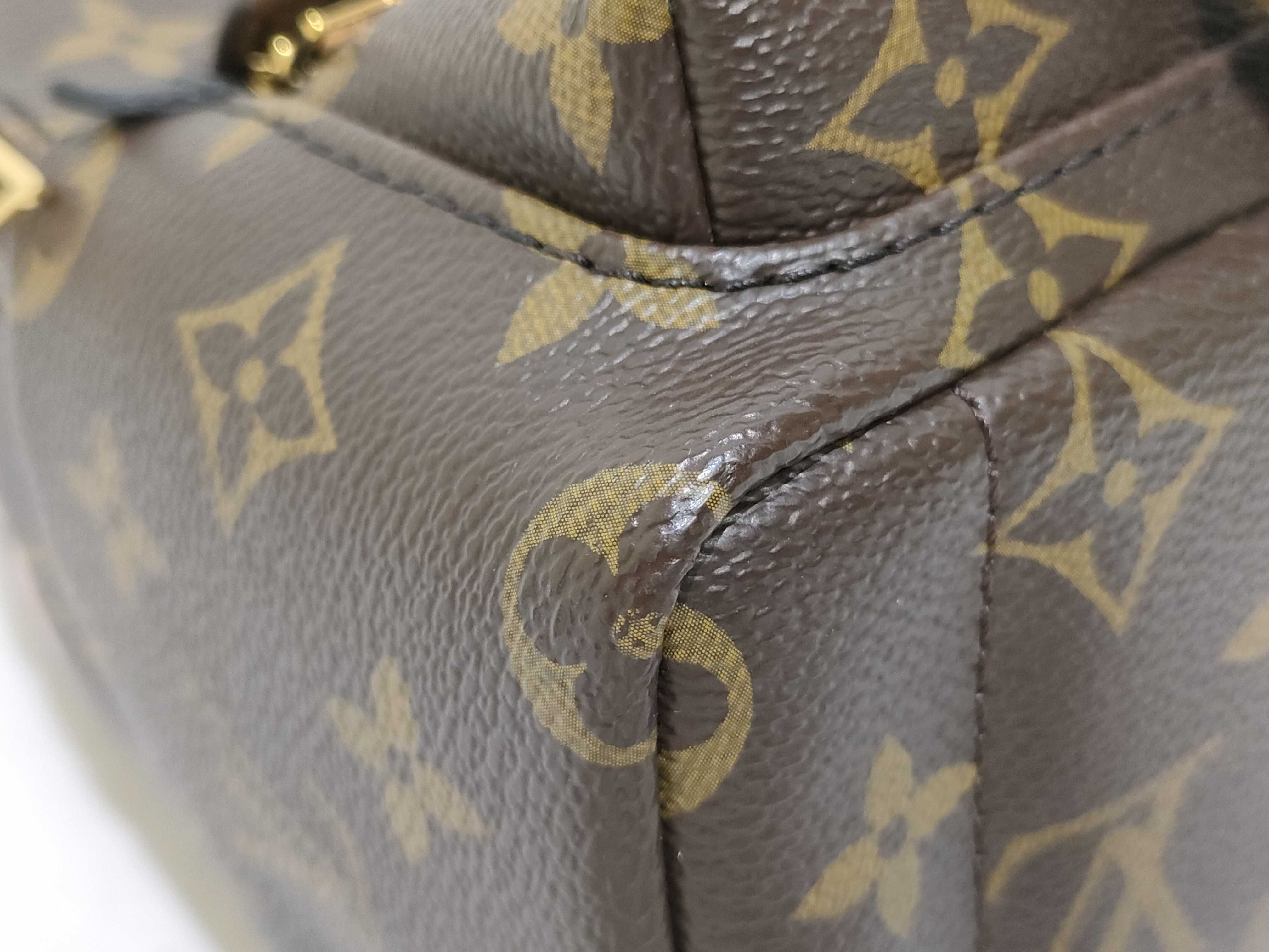 Monogram LV Palm Springs Backpack Mini Monogram M44873 Backpack — view 6