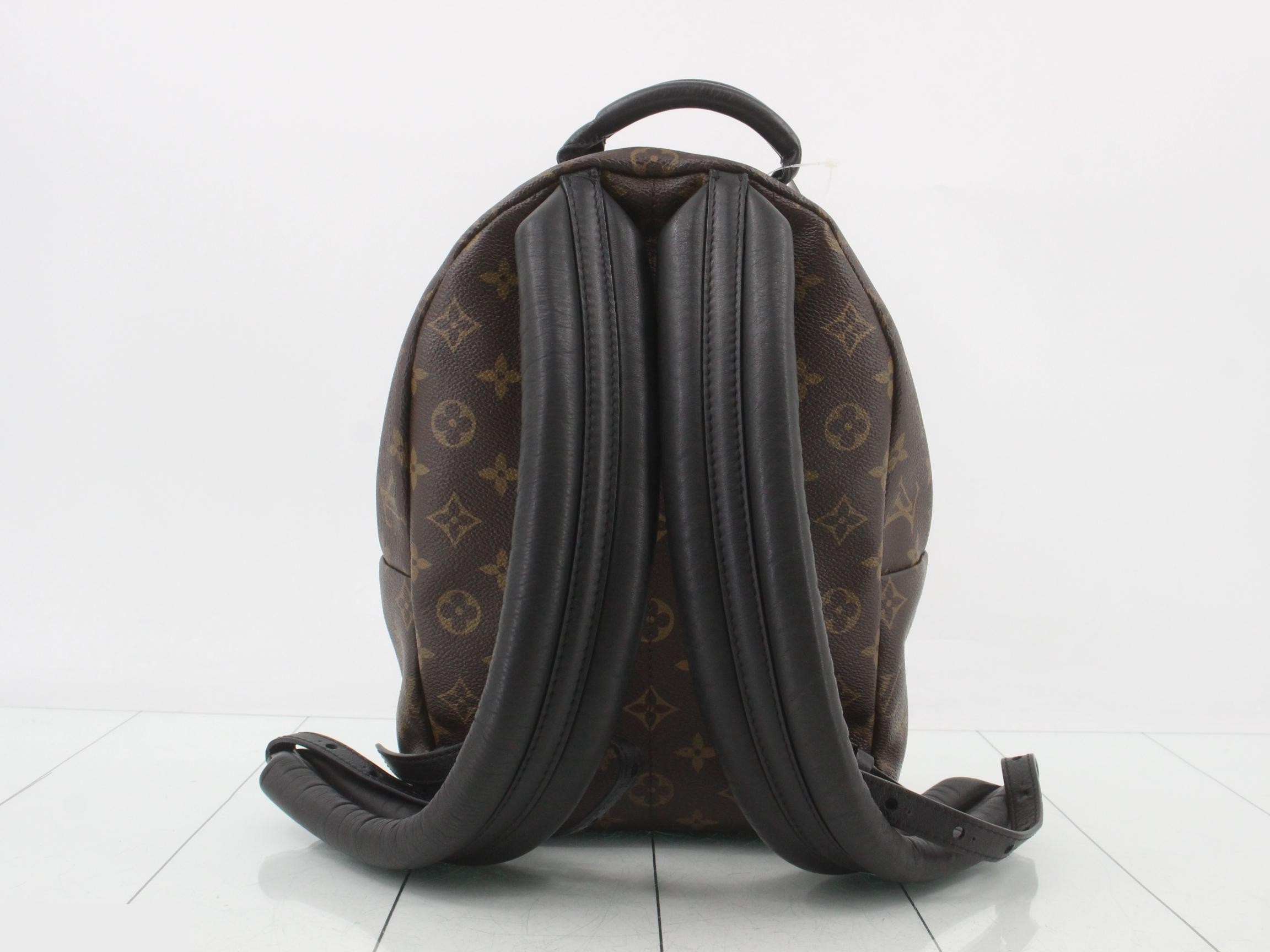 Monogram Palm Springs Backpack PM (Rucksack) — view 2