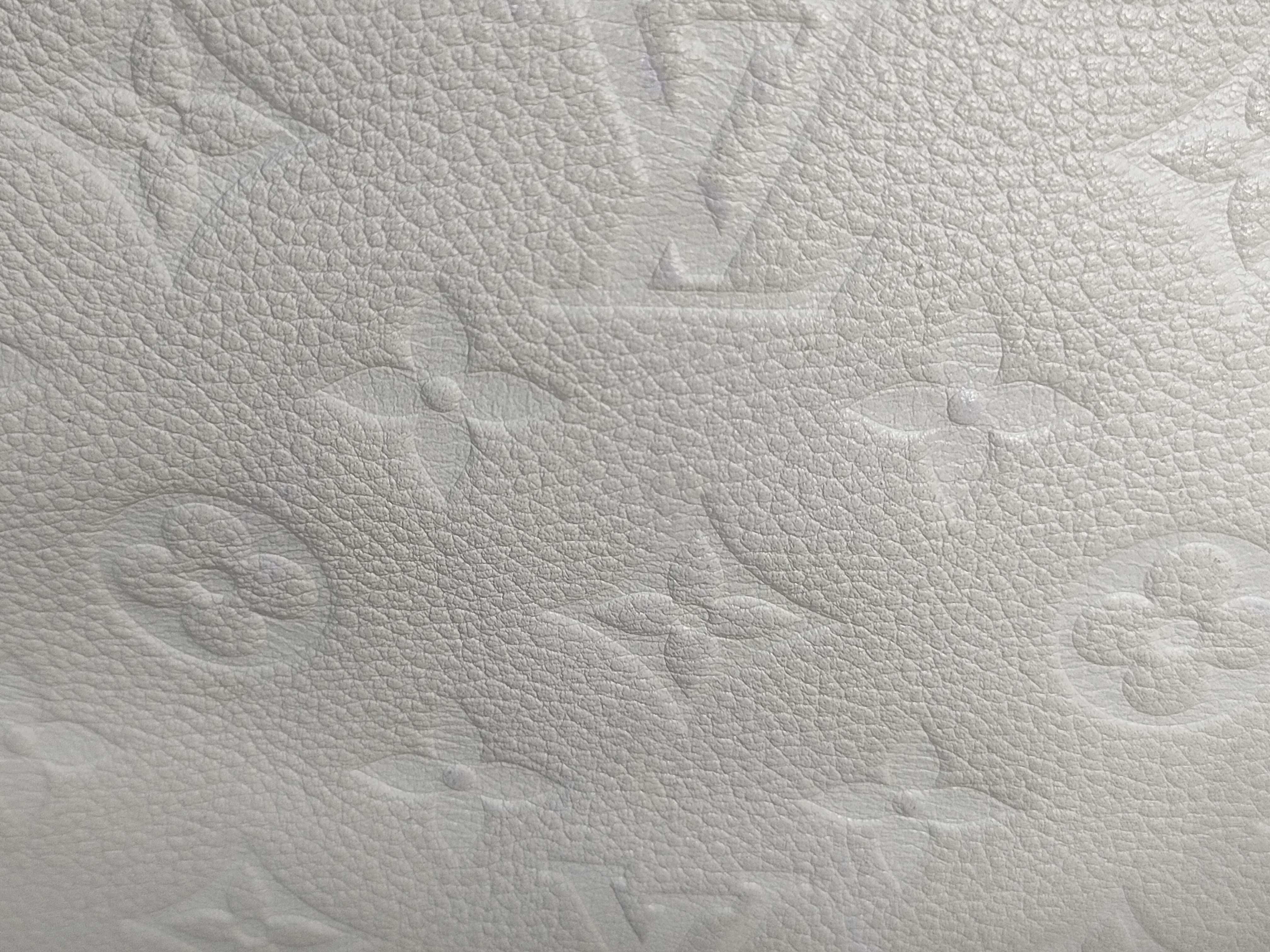 Monogram Empreinte Lumineuse Handbag — view 10