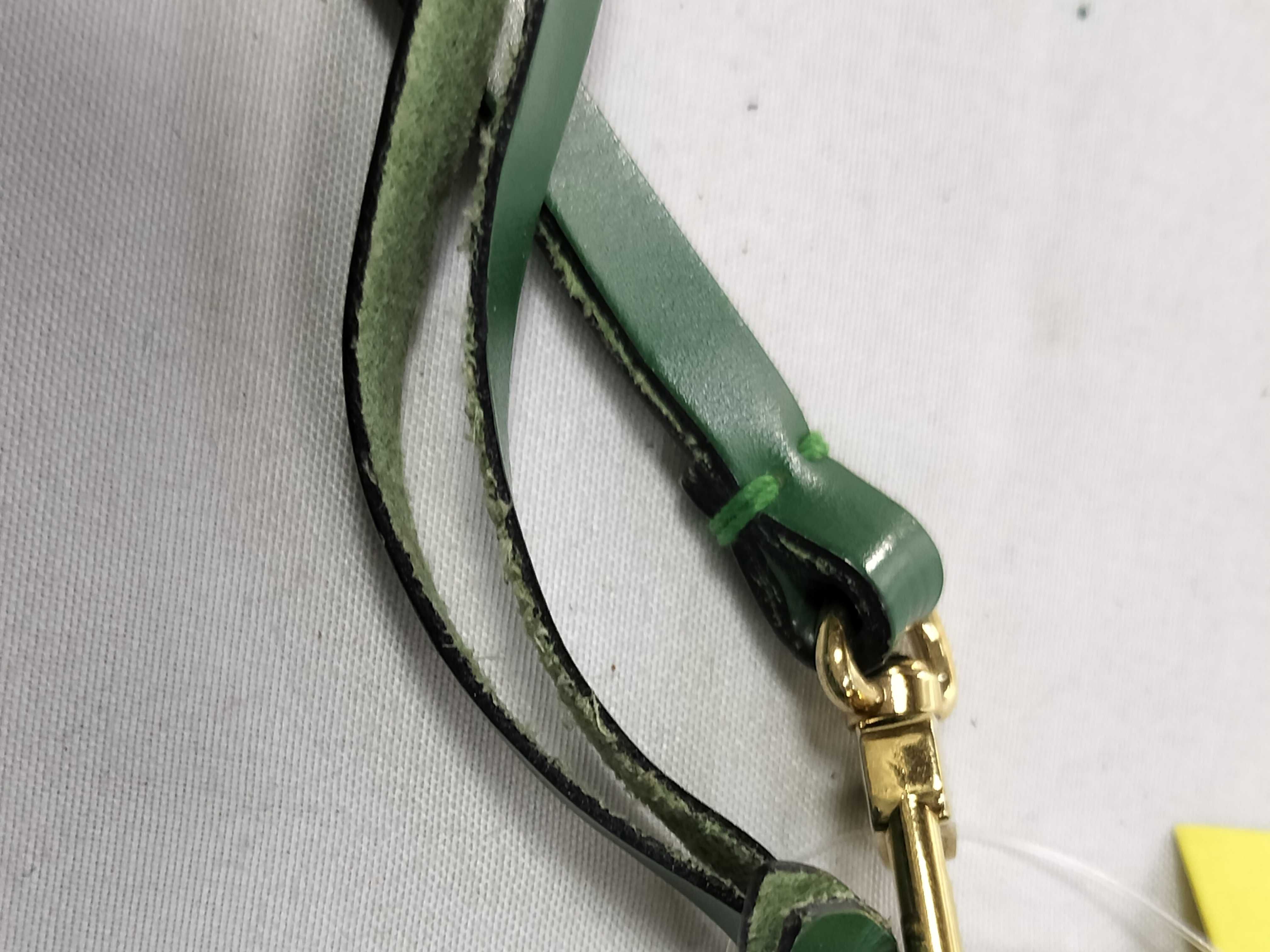 Epi M52944 Pochette Accessoires Borneo Green Pouch — view 4