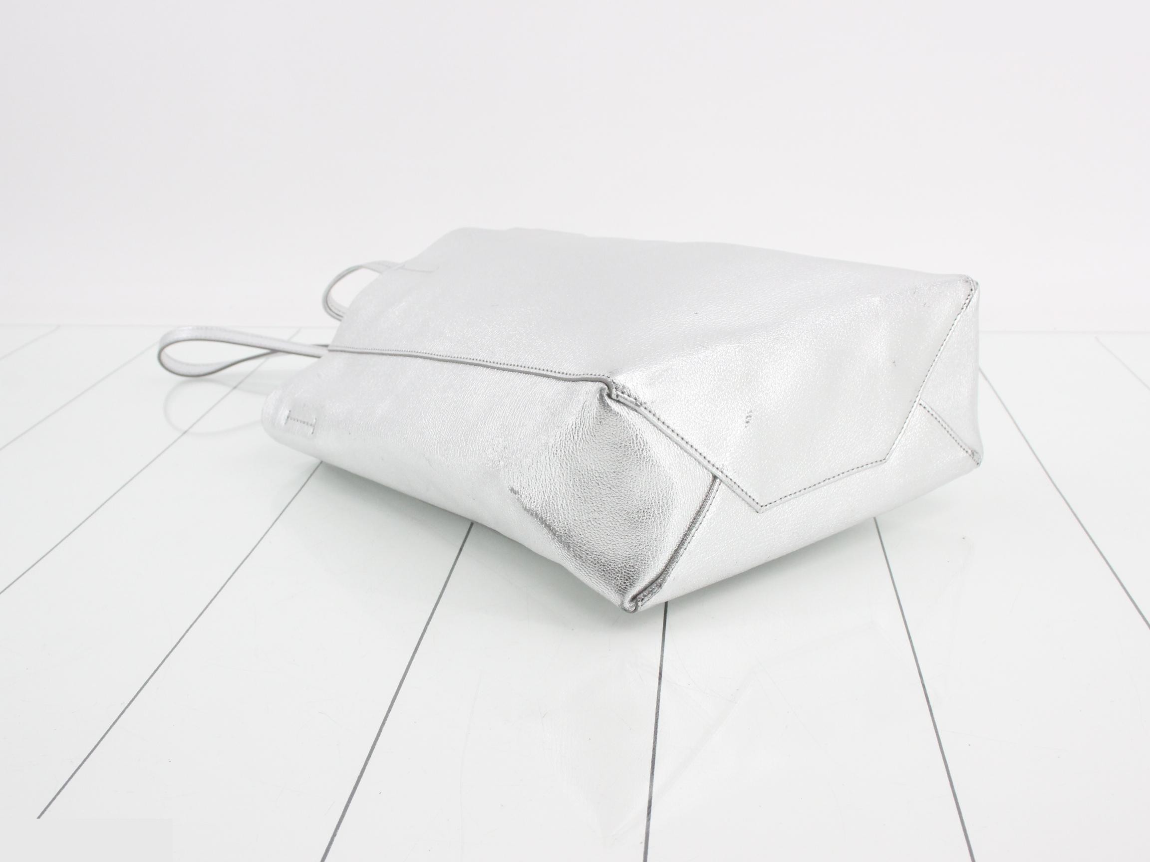 Vertical Cabas Tote Bag SM, Silver Leather — view 5