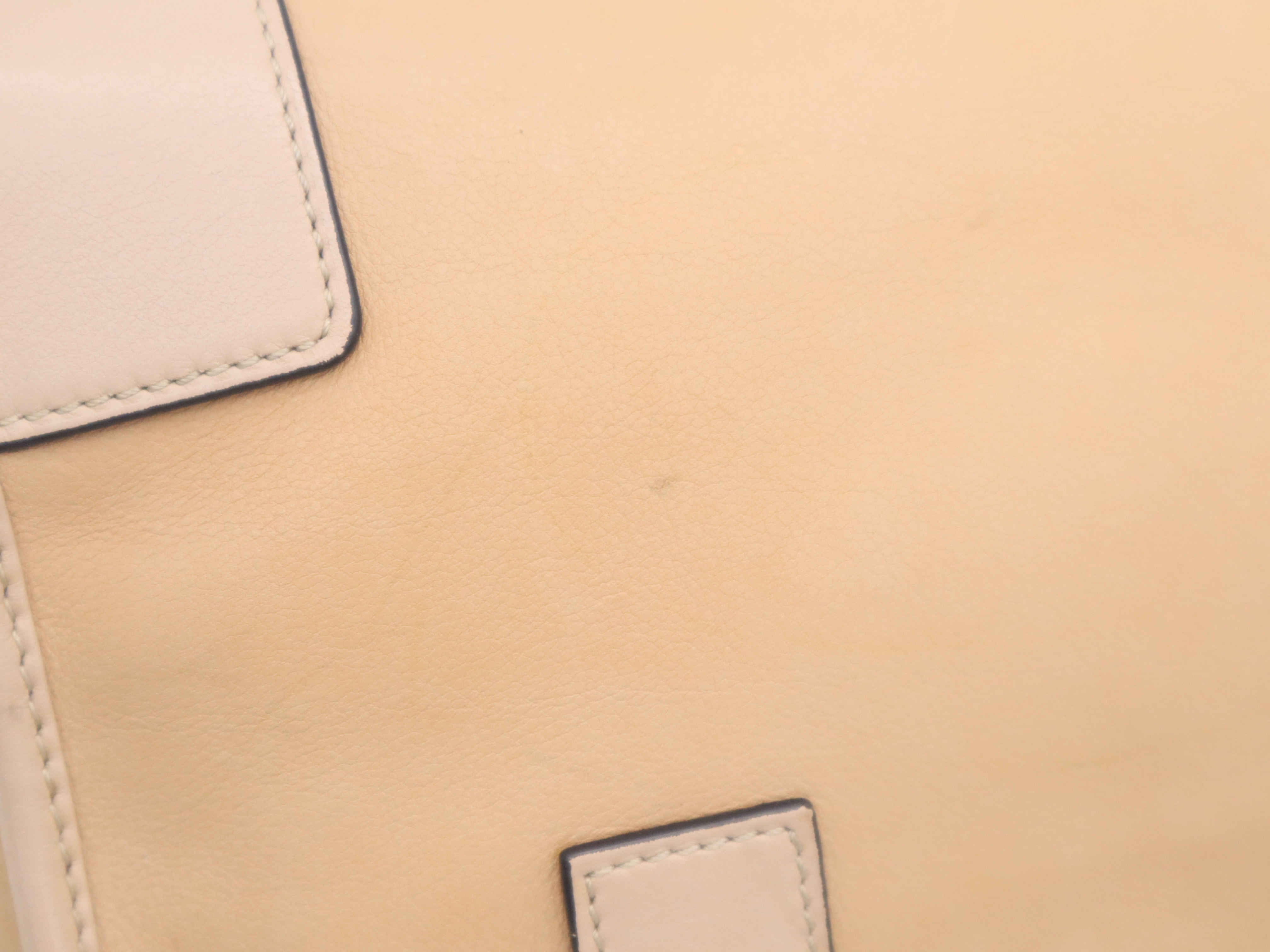 Leather Amazona 23 Handbag, Beige, Silver Hardware, with Shoulder Strap, Charm, and Dust Bag. — view 9