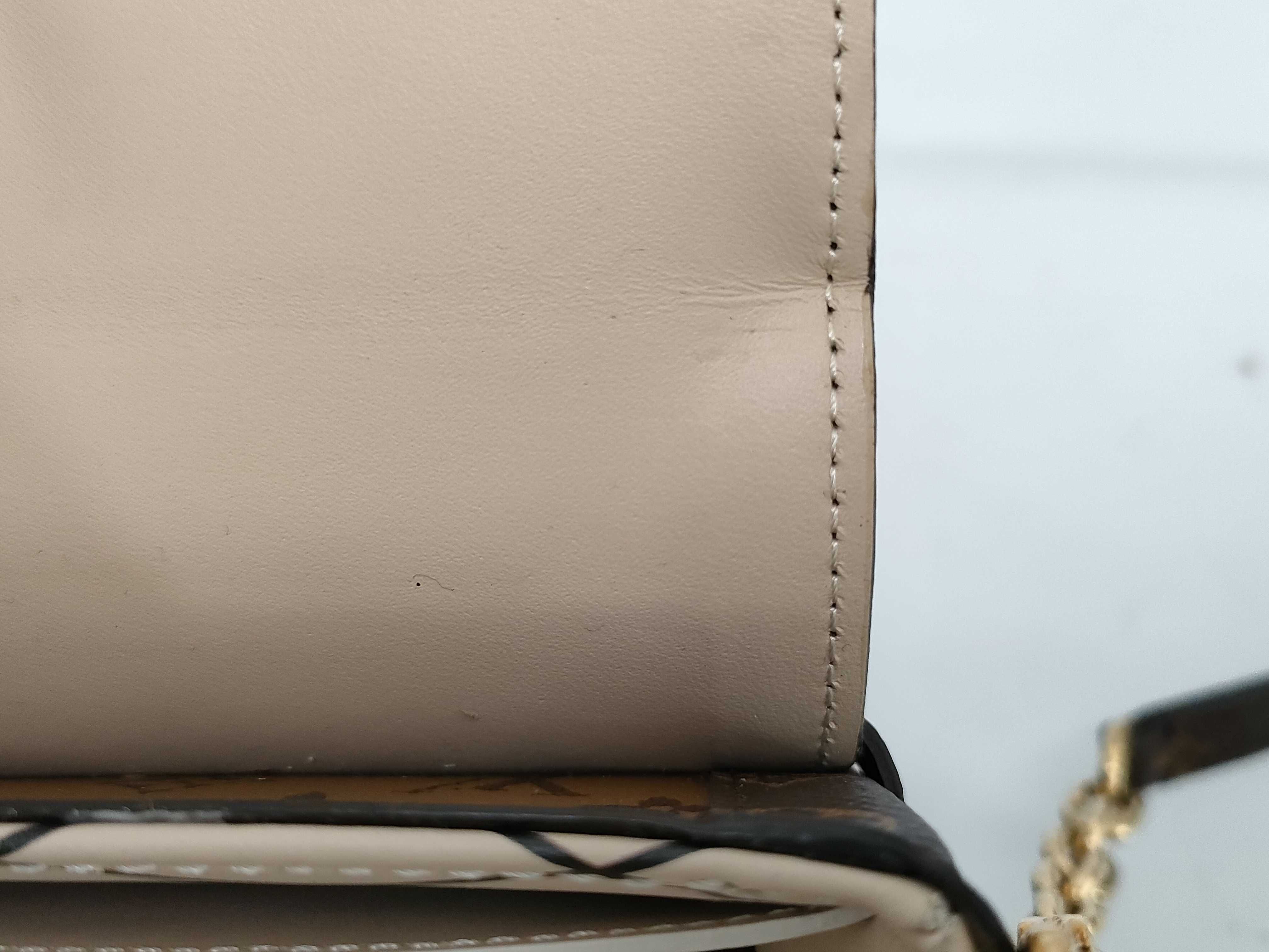 Monogram Louis Vuitton Pochette Trunk Vertical M67873 Shoulder Bag — view 10