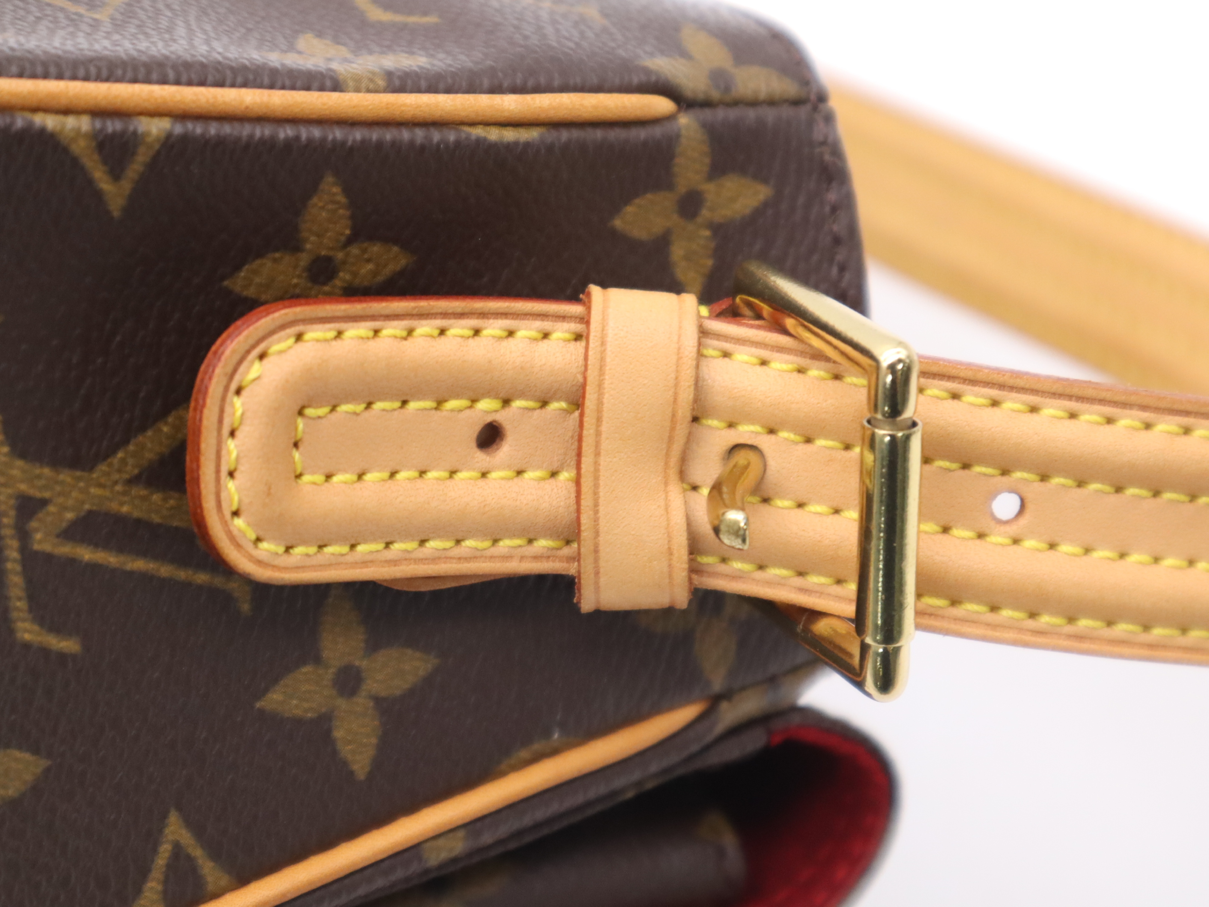 M51164 Monogram Viva Cite MM Shoulder Bag — view 7