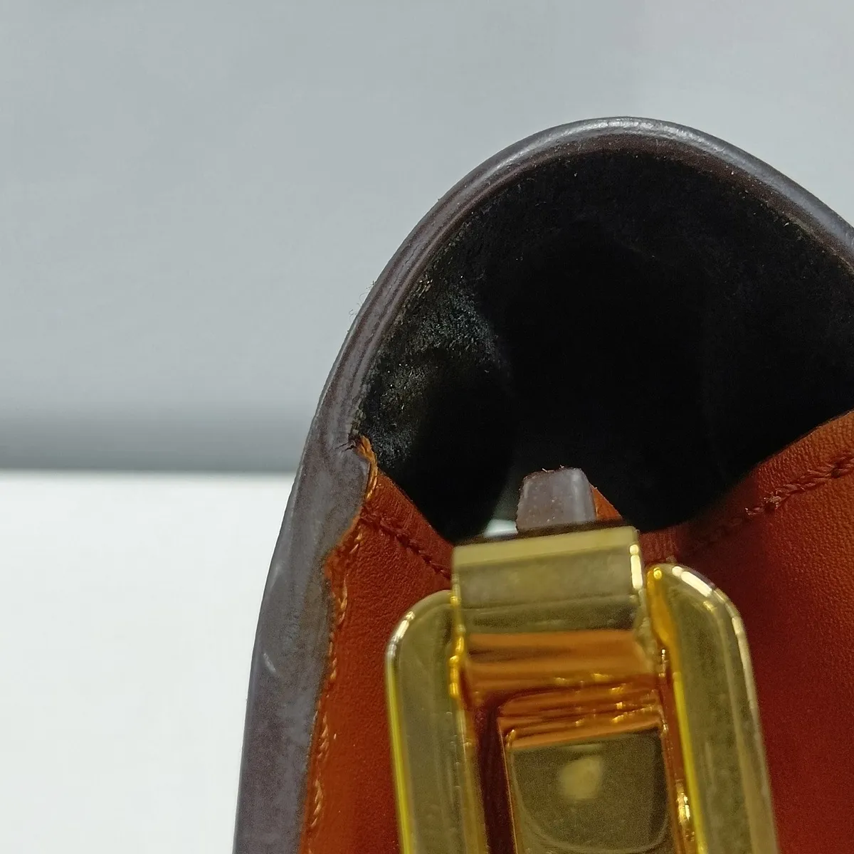 Monogram Reverse Dauphine MINI M45959 FL5210 Brown (RFID detected) — view 14