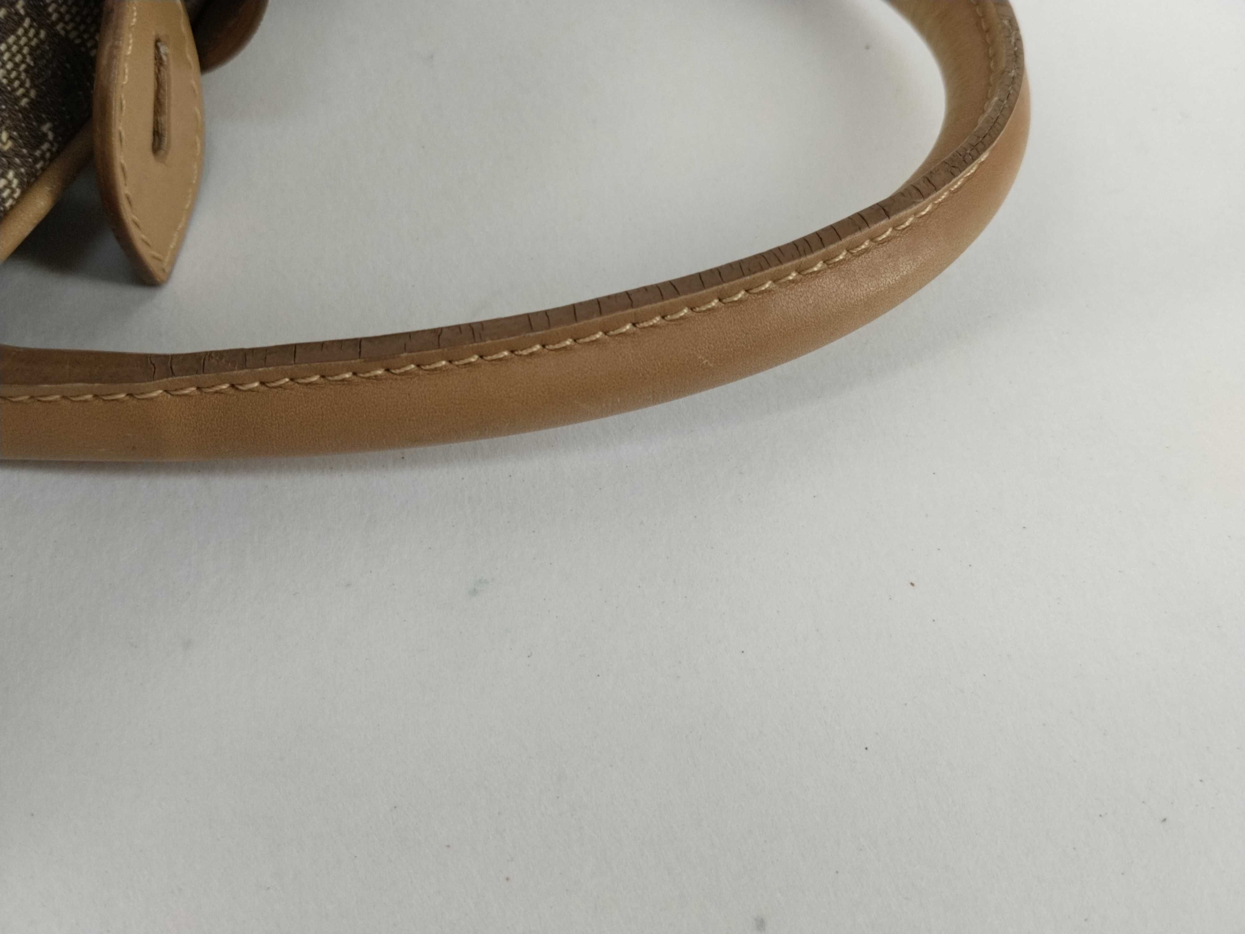 Trotter Double Saddle Canvas Brown Handbag — view 4