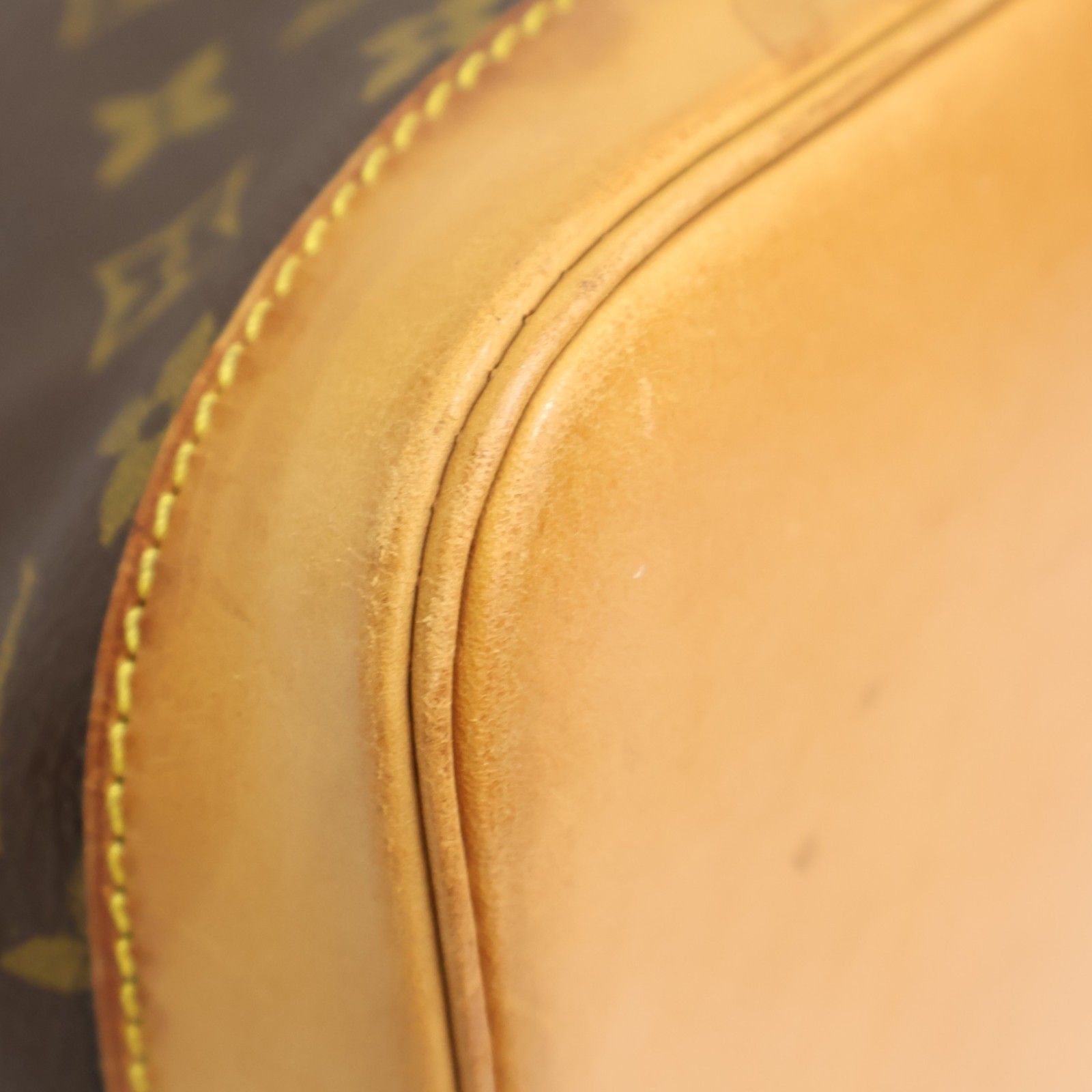 Alma PM, Monogram — view 8