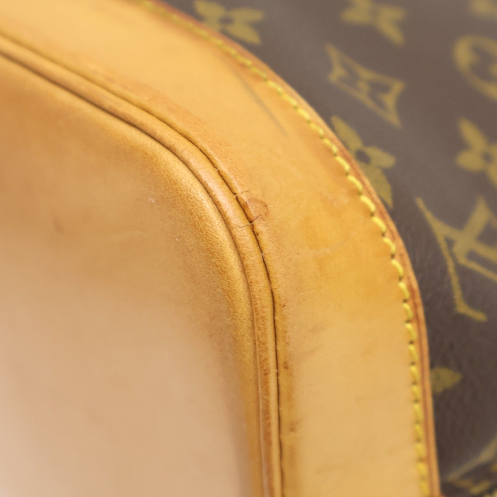 Alma PM, Monogram — view 9