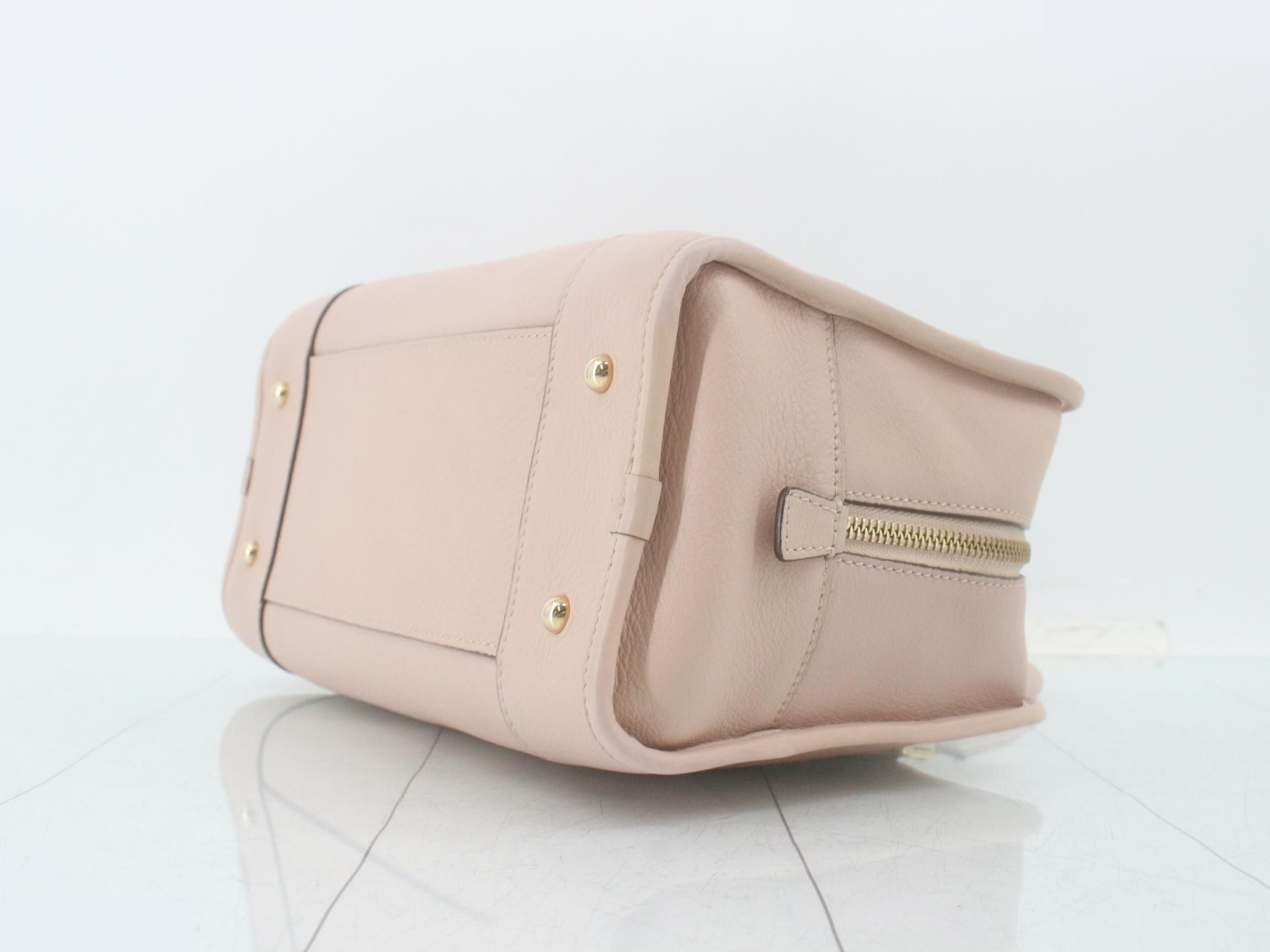 Amazona 28 Handbag, Gold Hardware — view 6