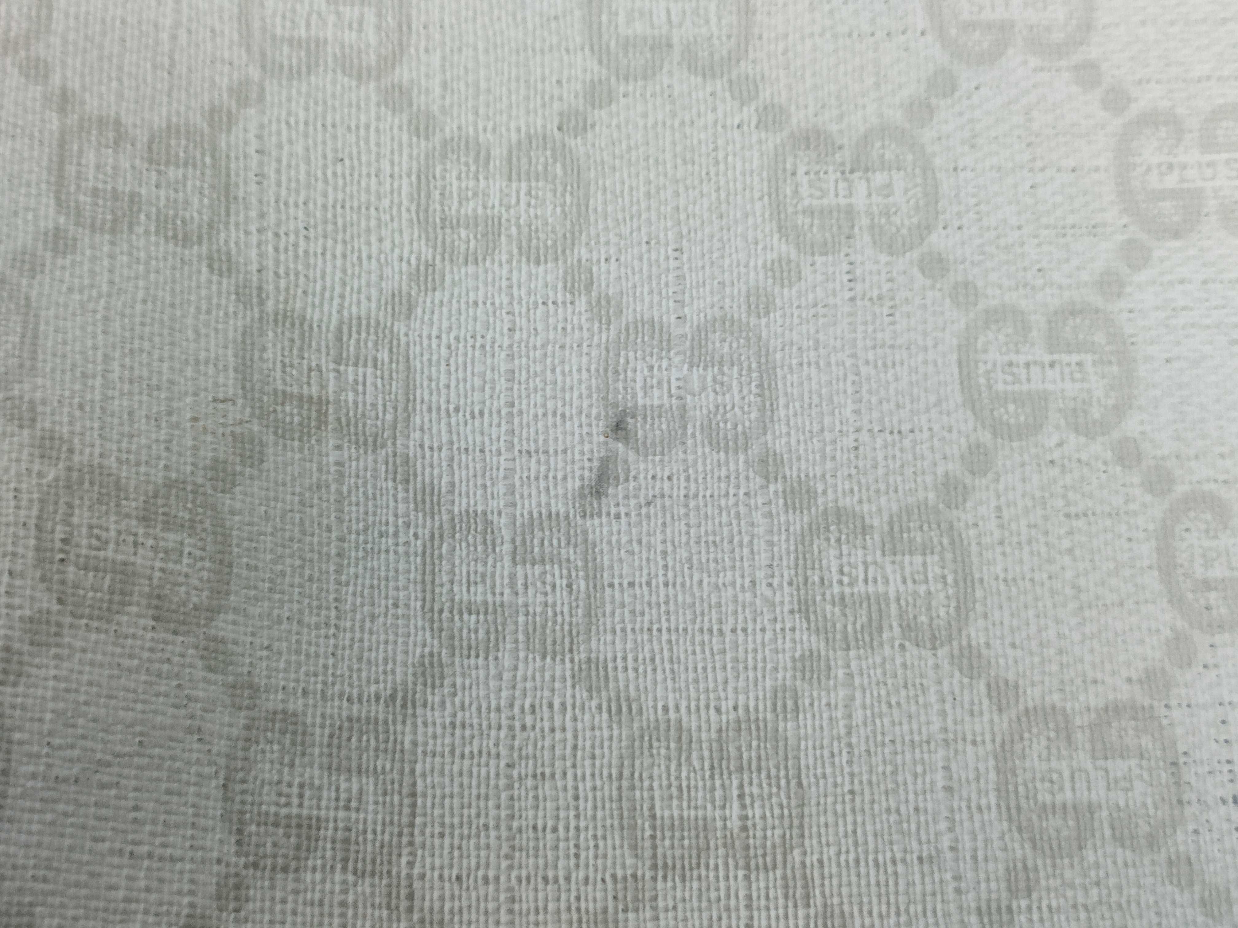 GG Plus Sherry Tote Bag — view 15