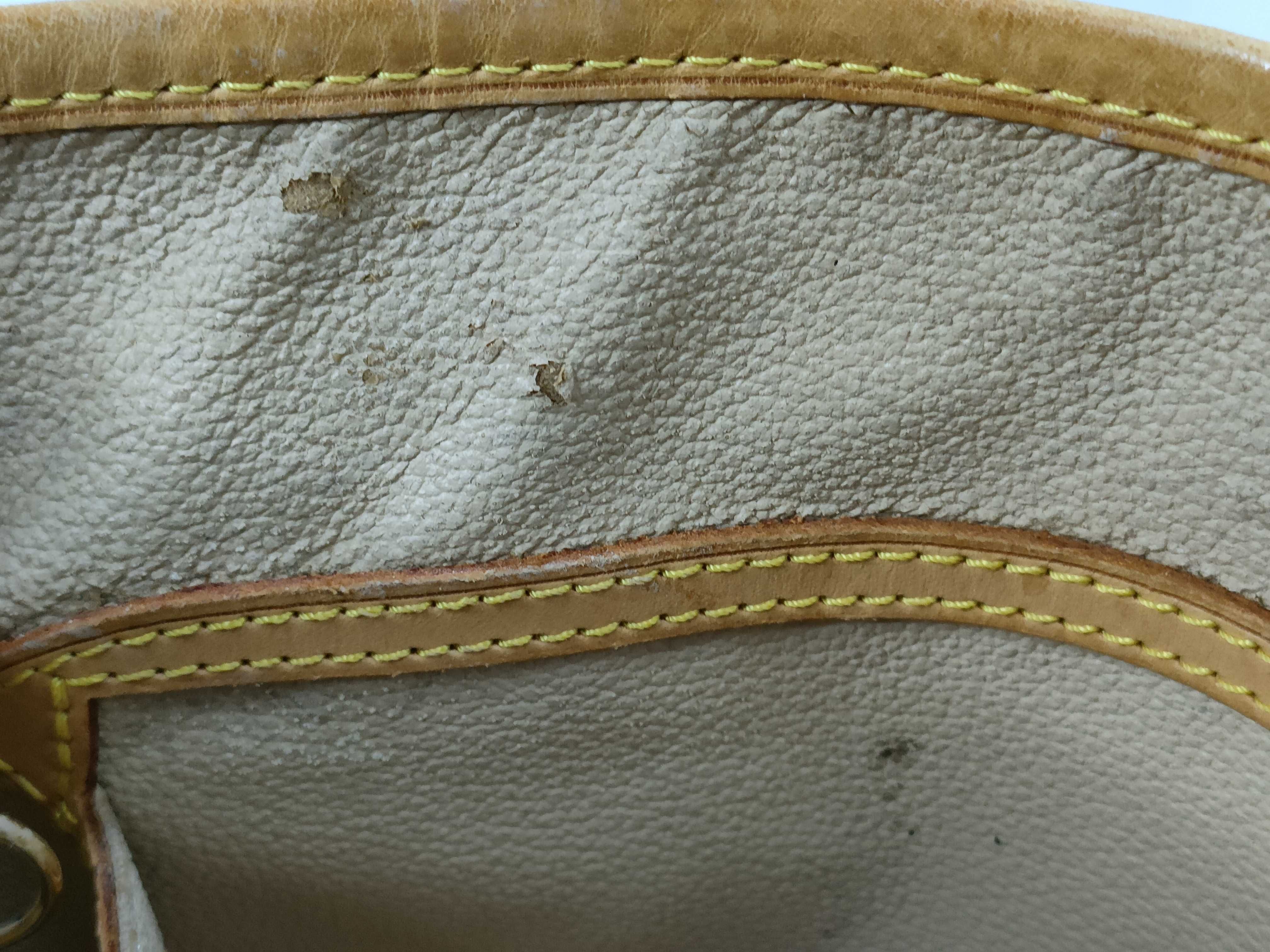 Monogram M42238 Petite Bucket PM Handbag — view 15