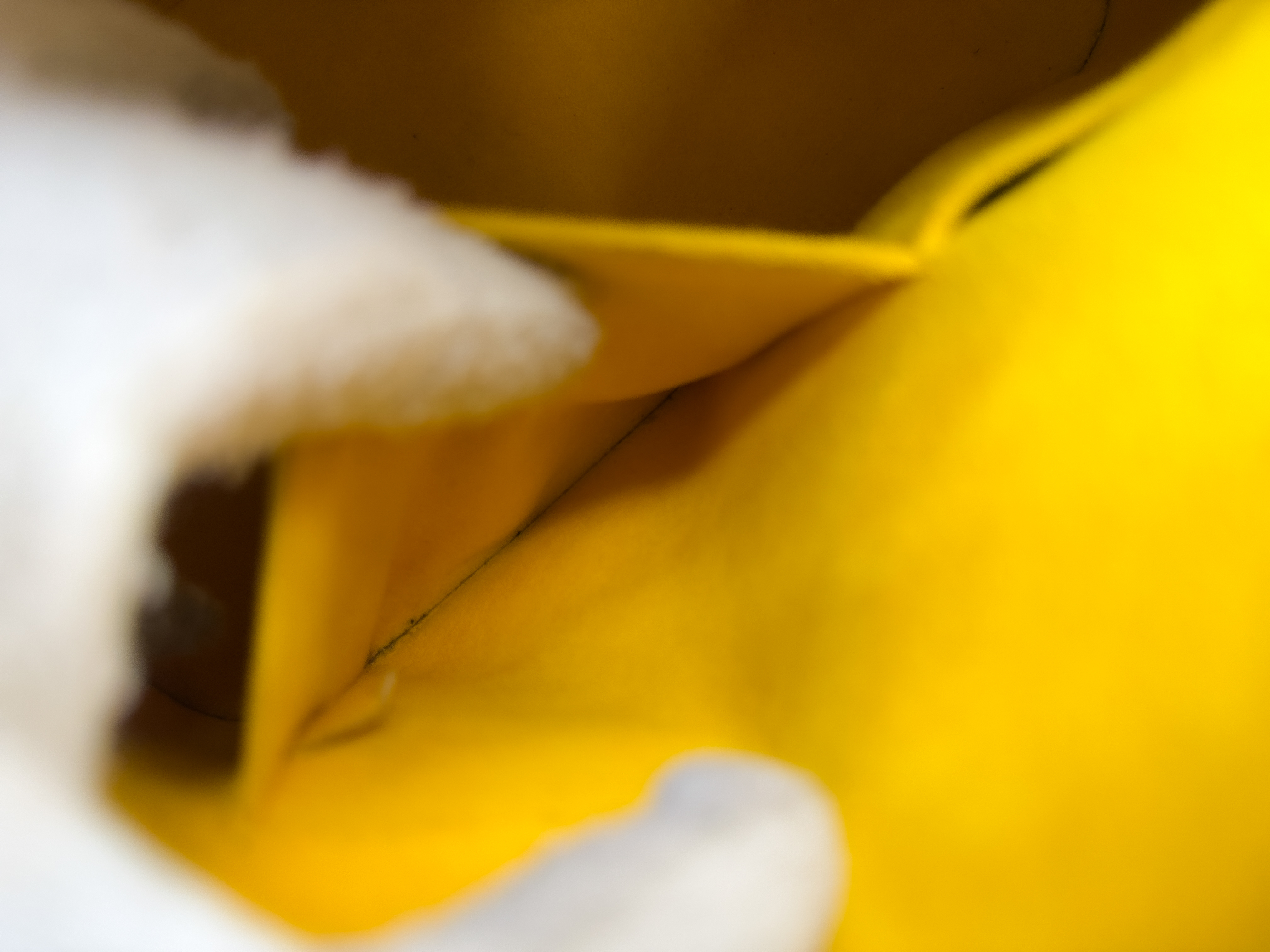 Epi M52149 Alma PM Tassili Yellow FL4112 Handbag — view 14