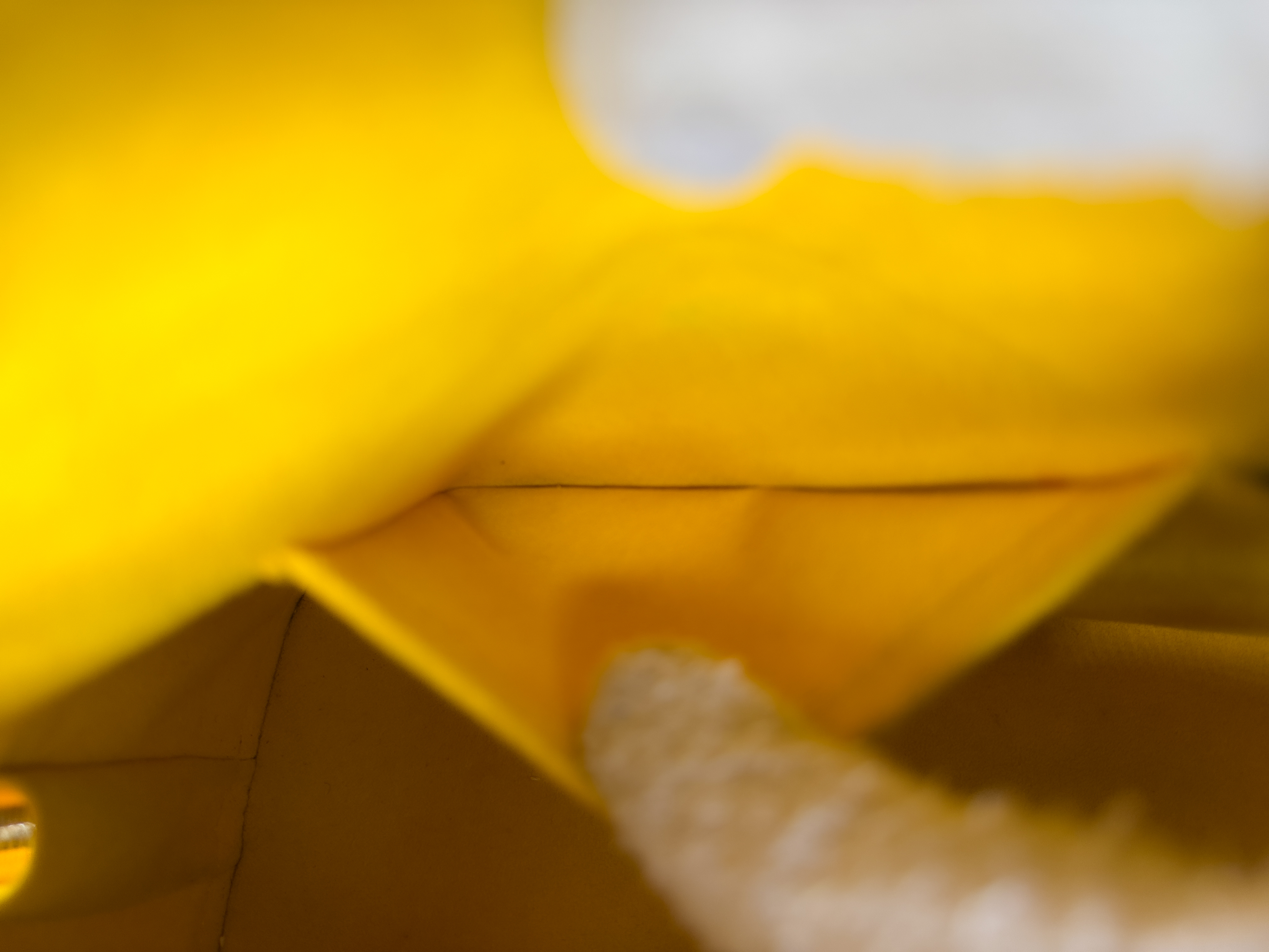 Epi M52149 Alma PM Tassili Yellow FL4112 Handbag — view 15