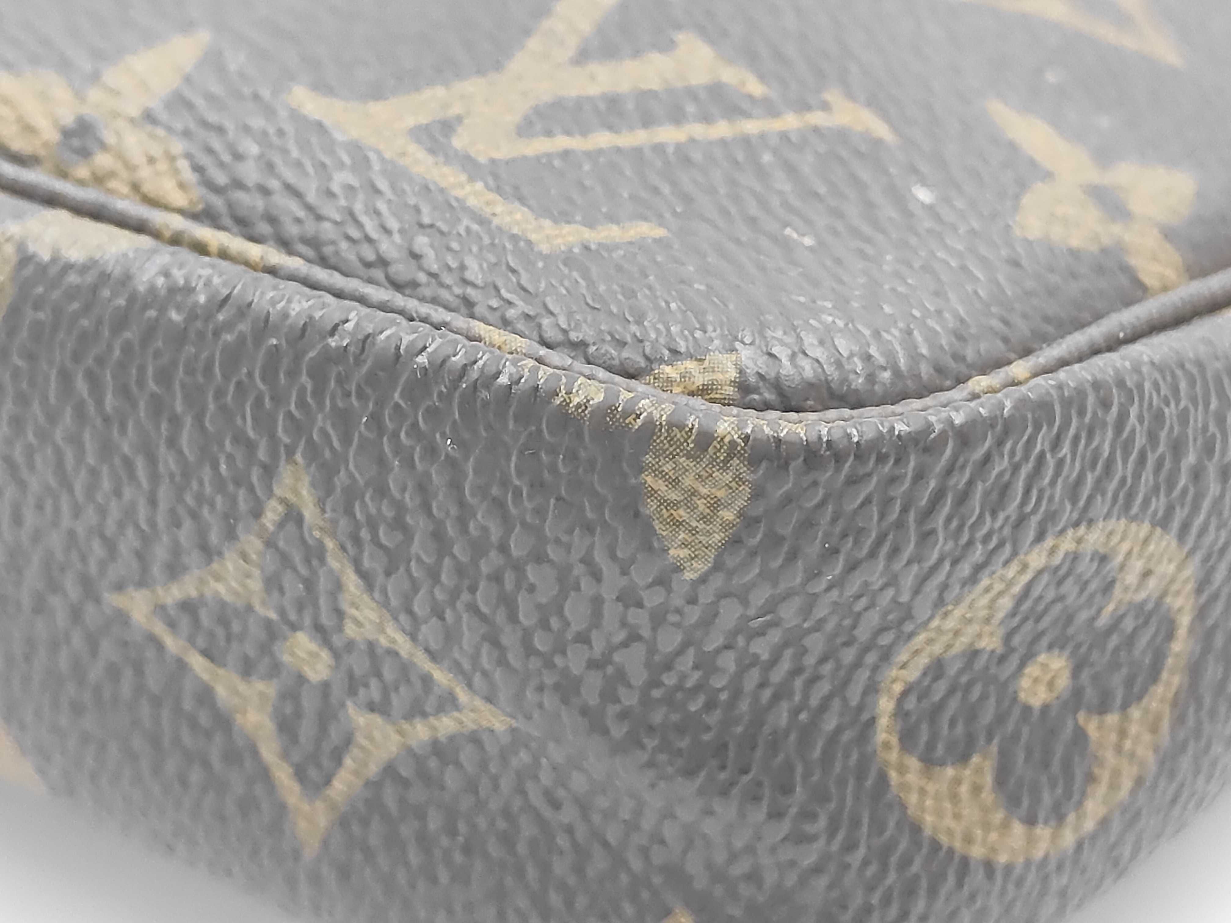 Monogram LV Accessoires Pouch — view 6