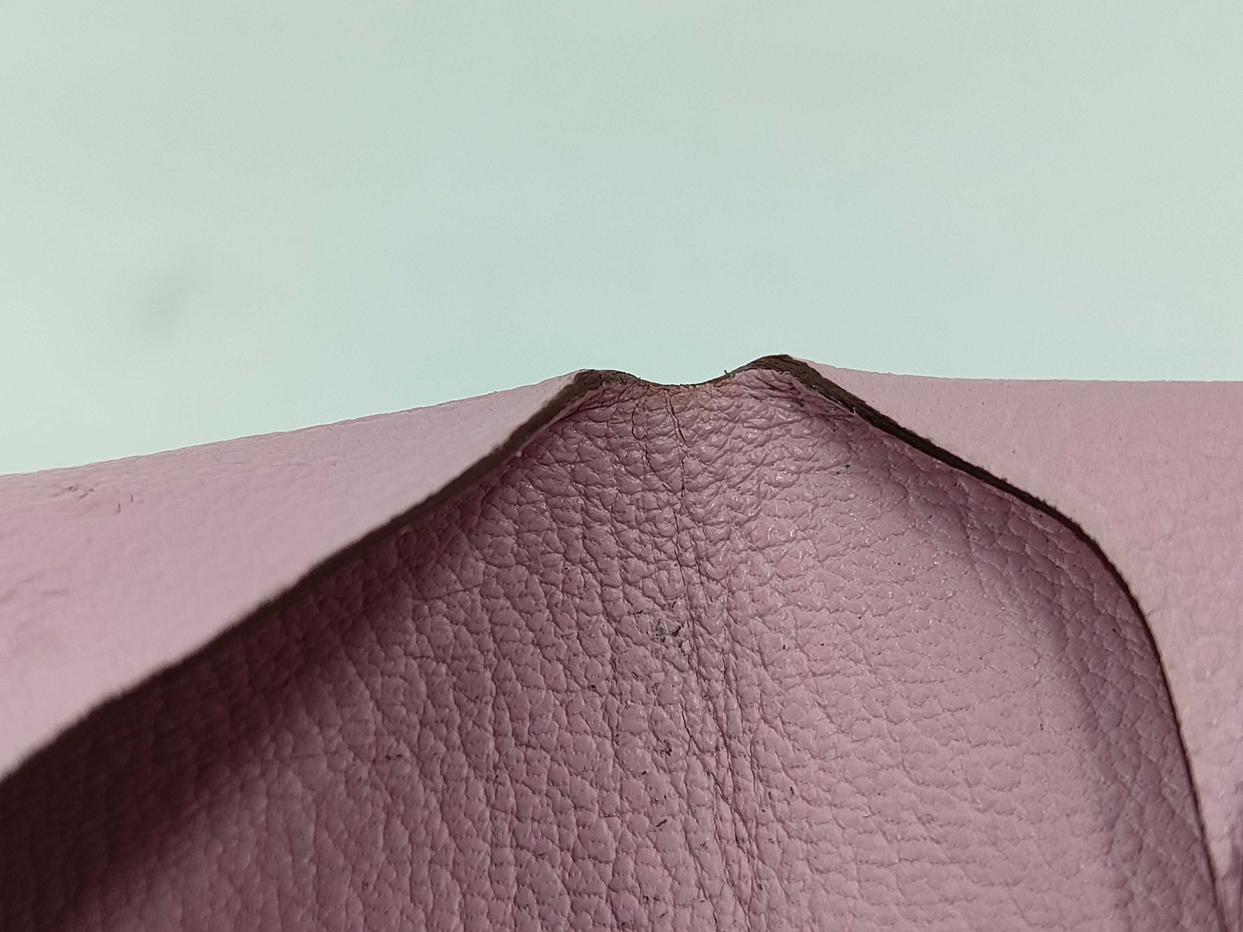 Bastia Pink Coin Case — view 7