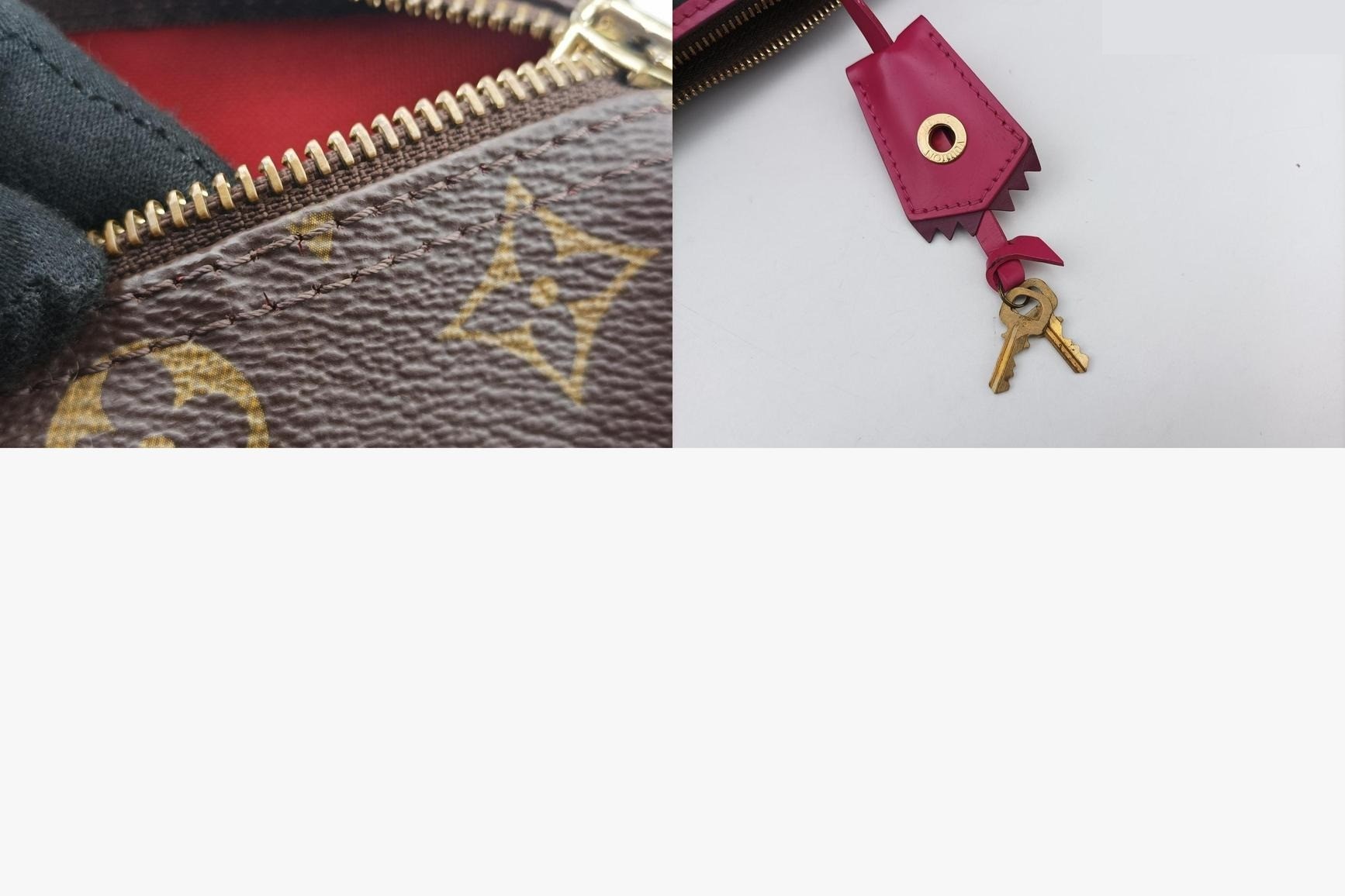 Speedy 30 Monogram Totem Monogram/Brown x Flamingo — view 11