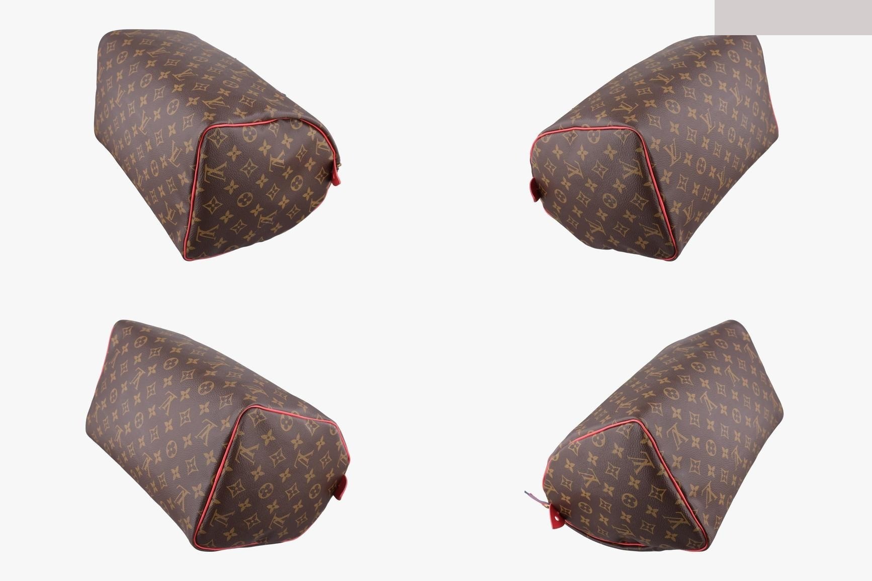 Speedy 30 Monogram Totem Monogram/Brown x Flamingo — view 4