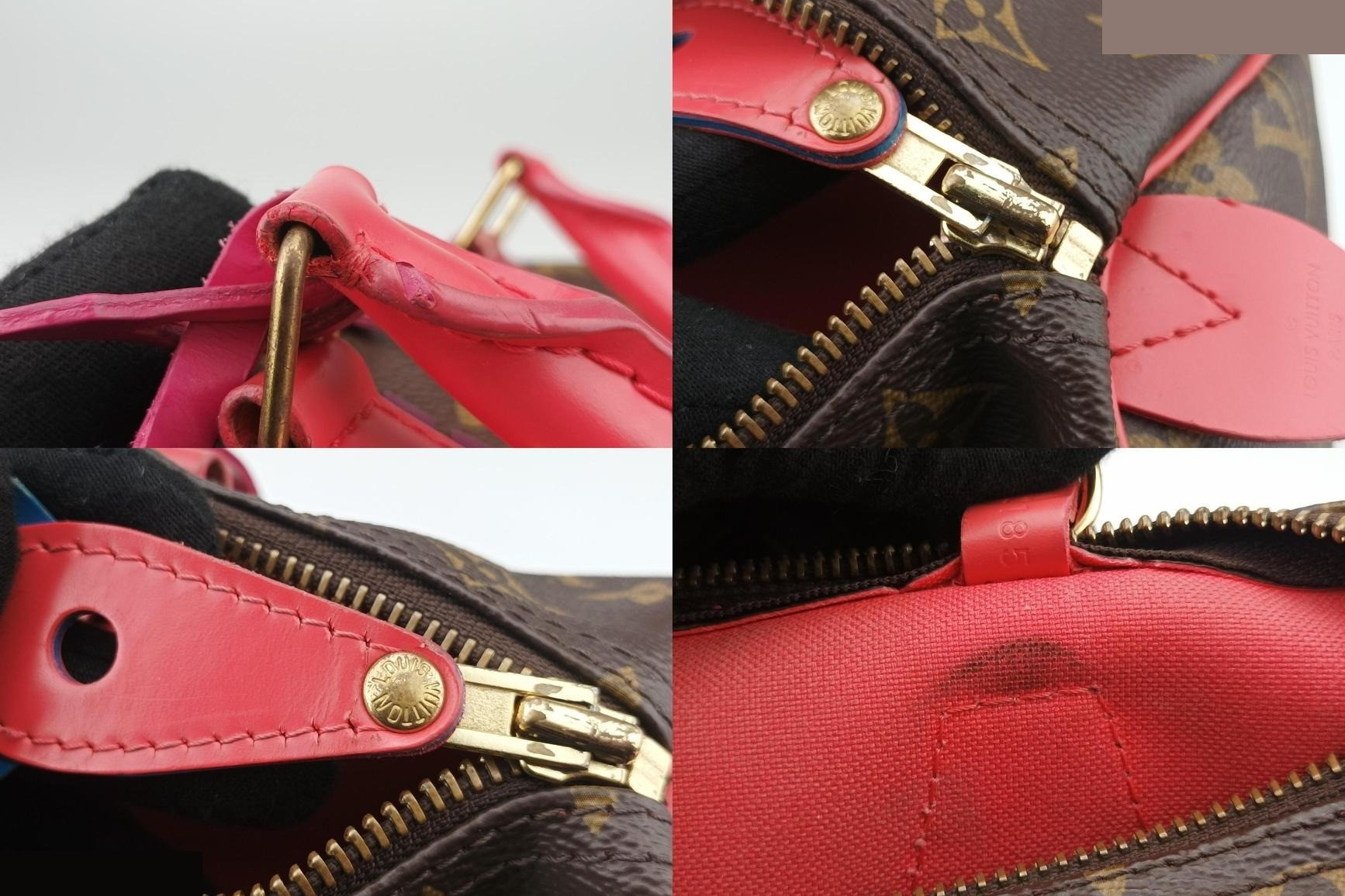 Speedy 30 Monogram Totem Monogram/Brown x Flamingo — view 10