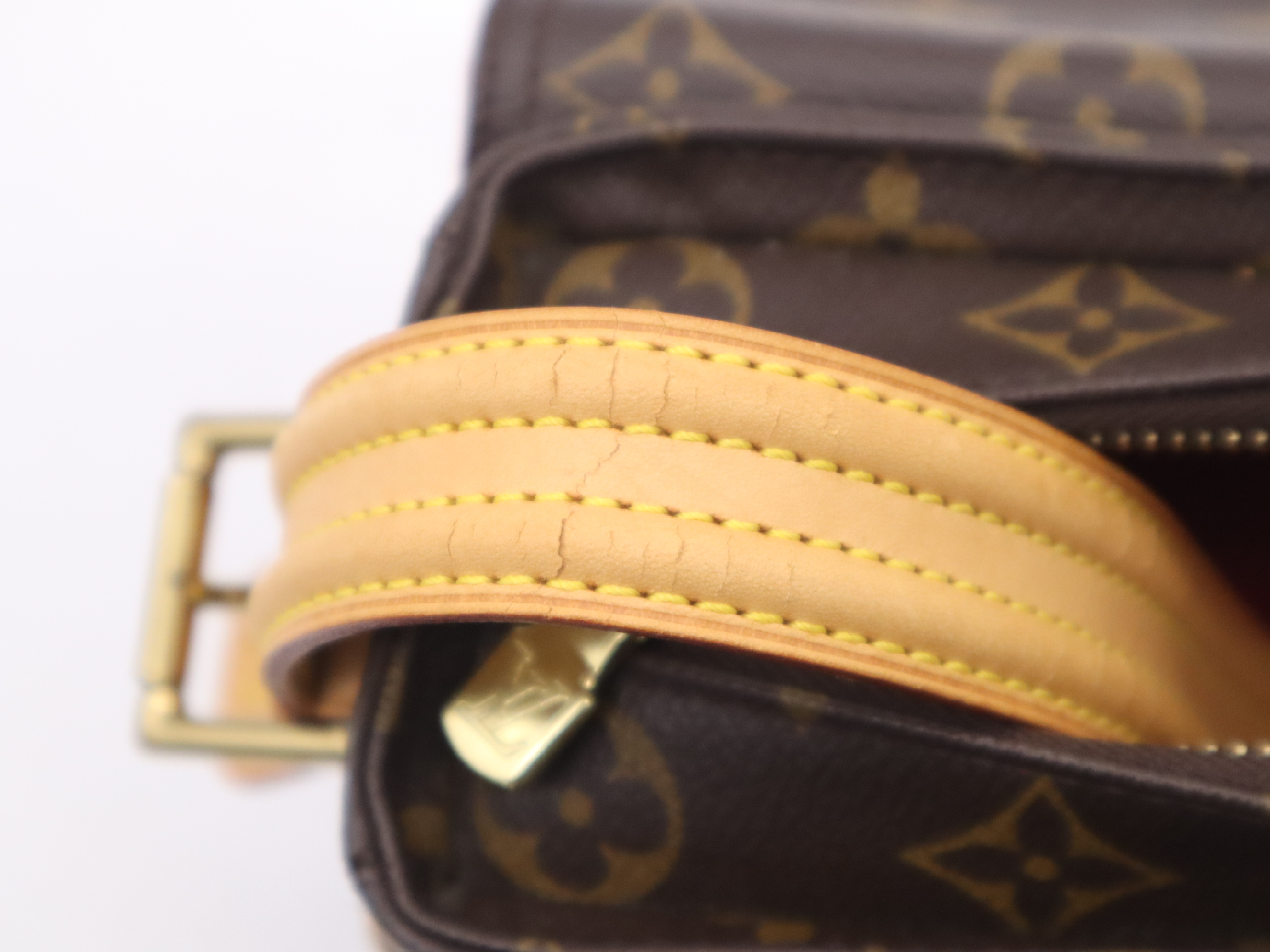 M51164 Monogram Viva Cite MM Shoulder Bag — view 12
