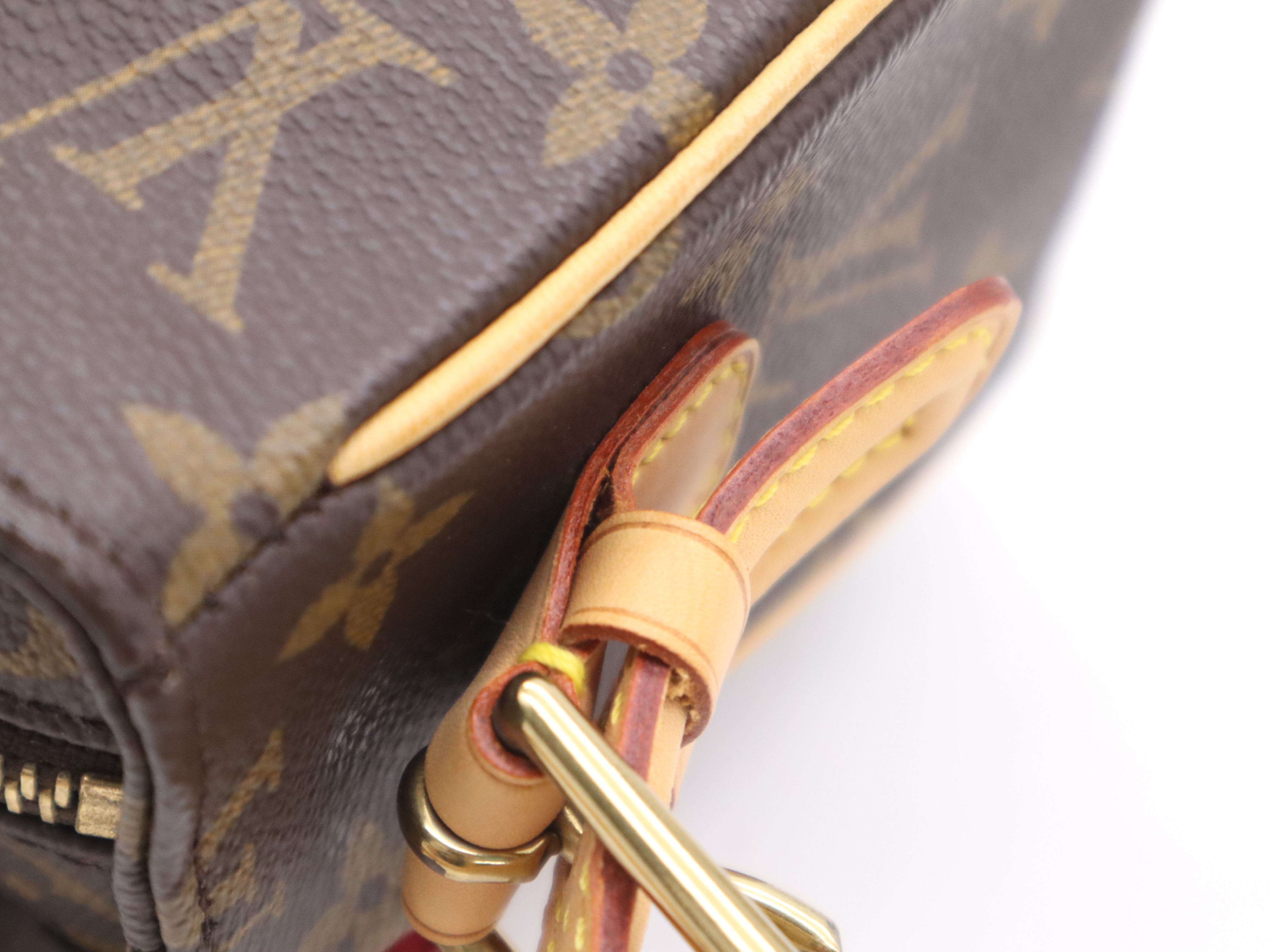 M51164 Monogram Viva Cite MM Shoulder Bag — view 8