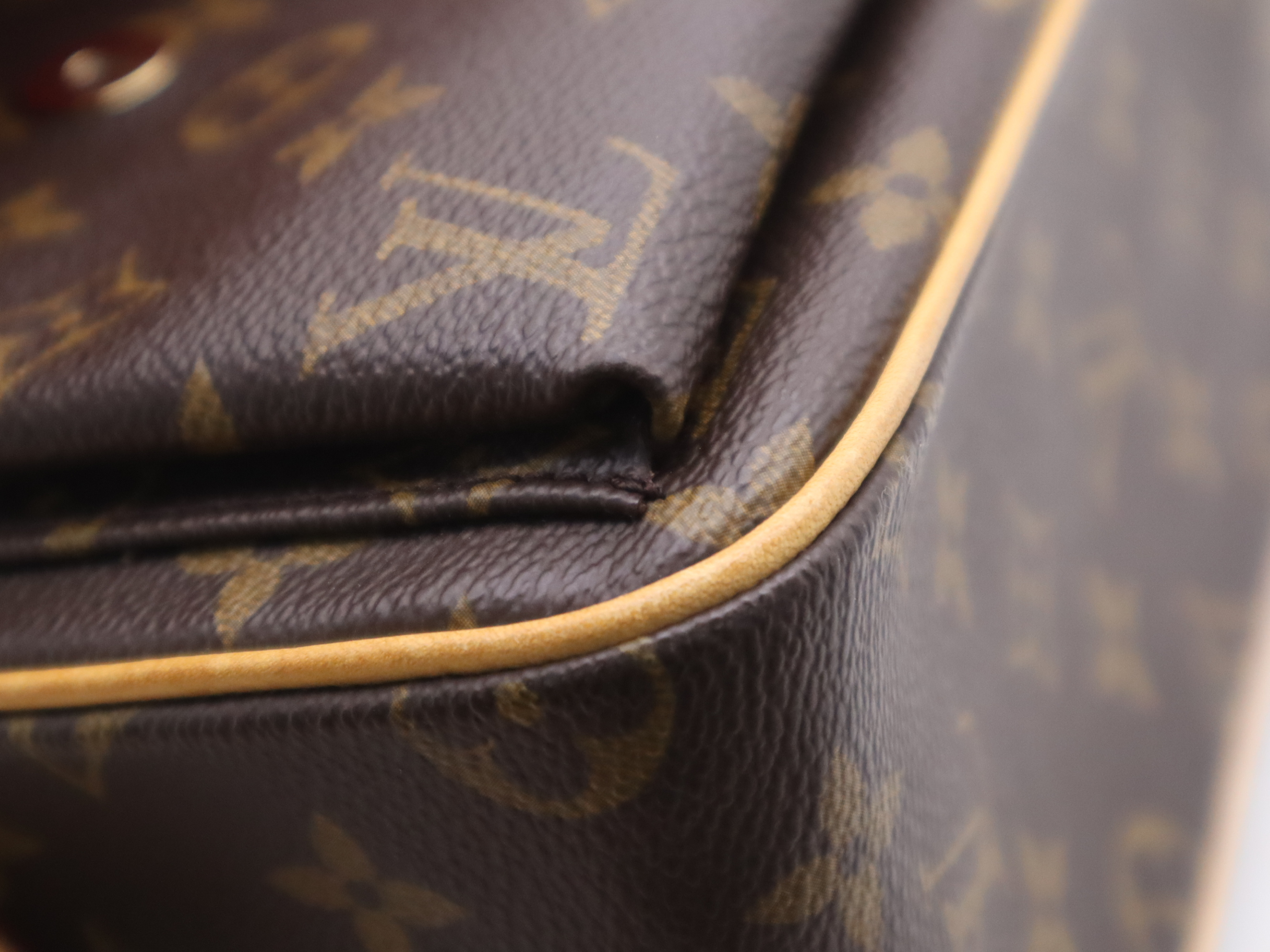 M51164 Monogram Viva Cite MM Shoulder Bag — view 9