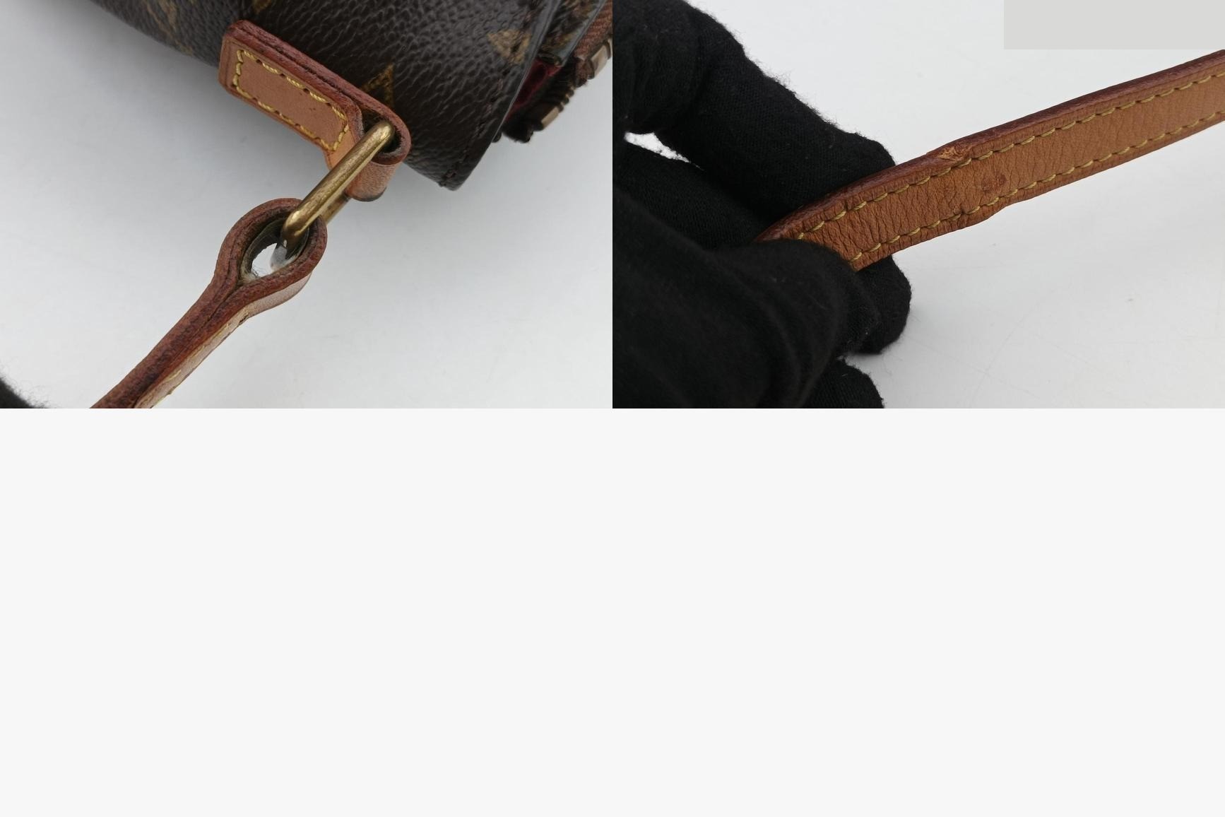 Vivacite PM Monogram Canvas Monogram/Brown — view 11