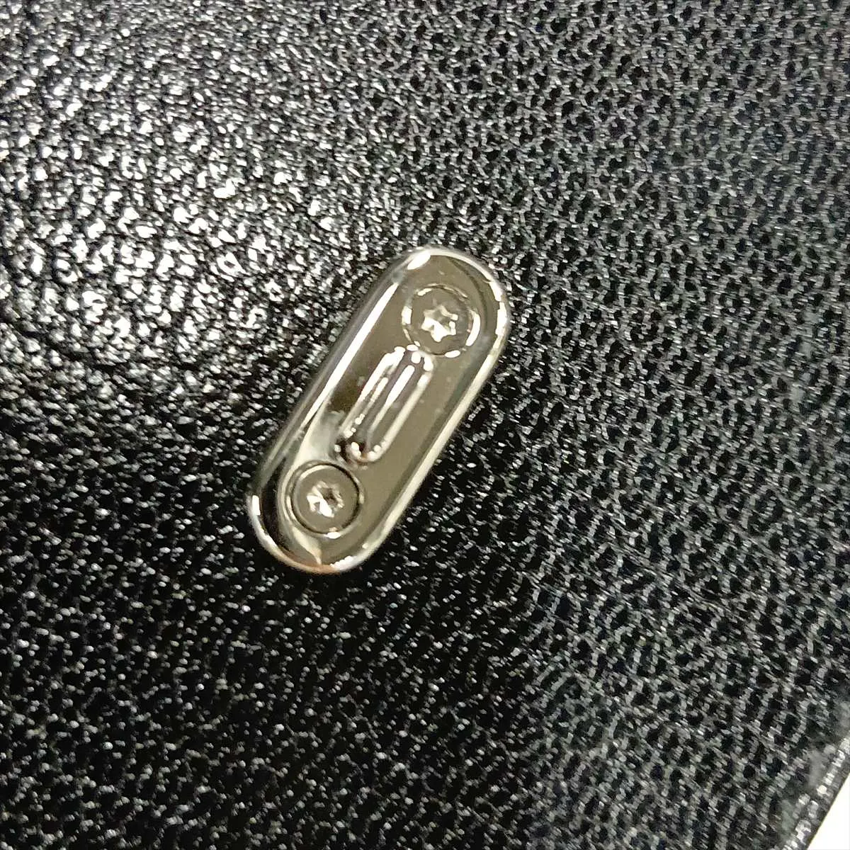 Medor Tougo Chevre Shamkira Black Silver Hardware G:2026 — view 12