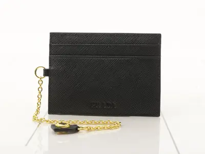 Pass case