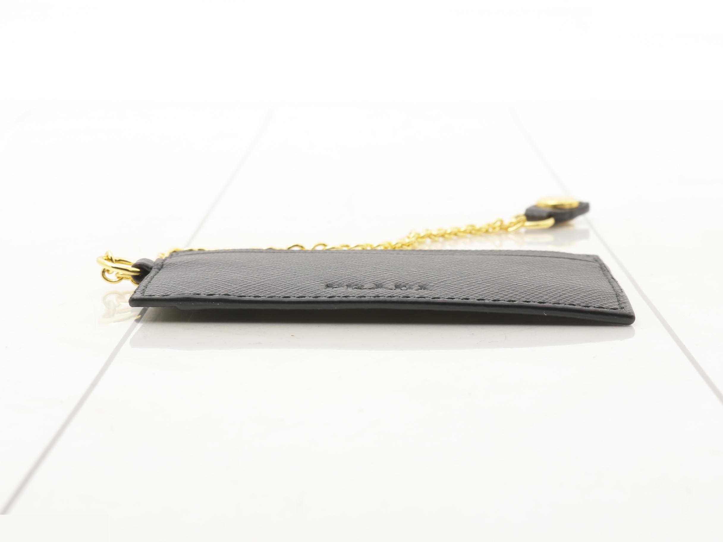 Pass case — view 3