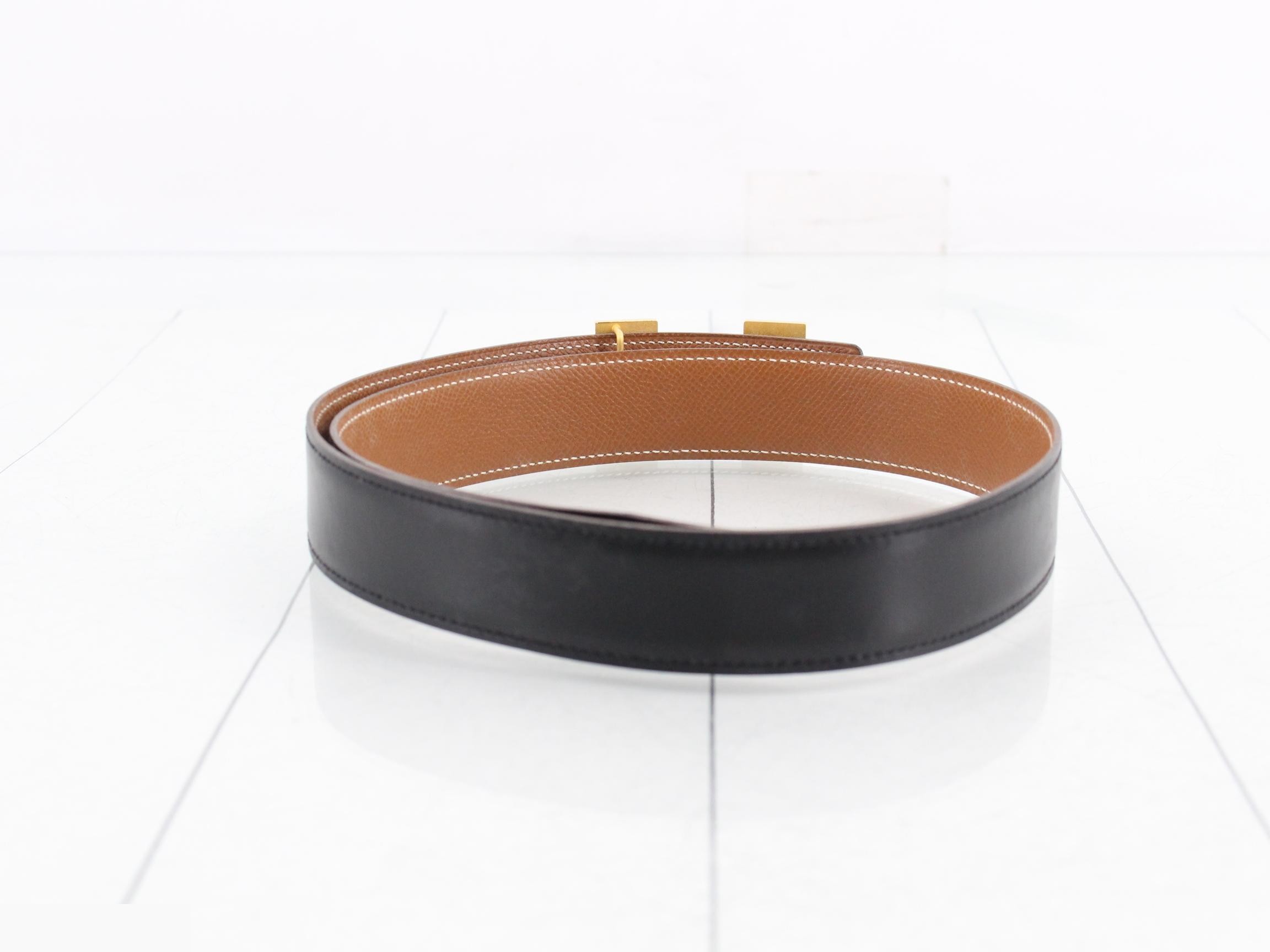 Constance Belt — view 2
