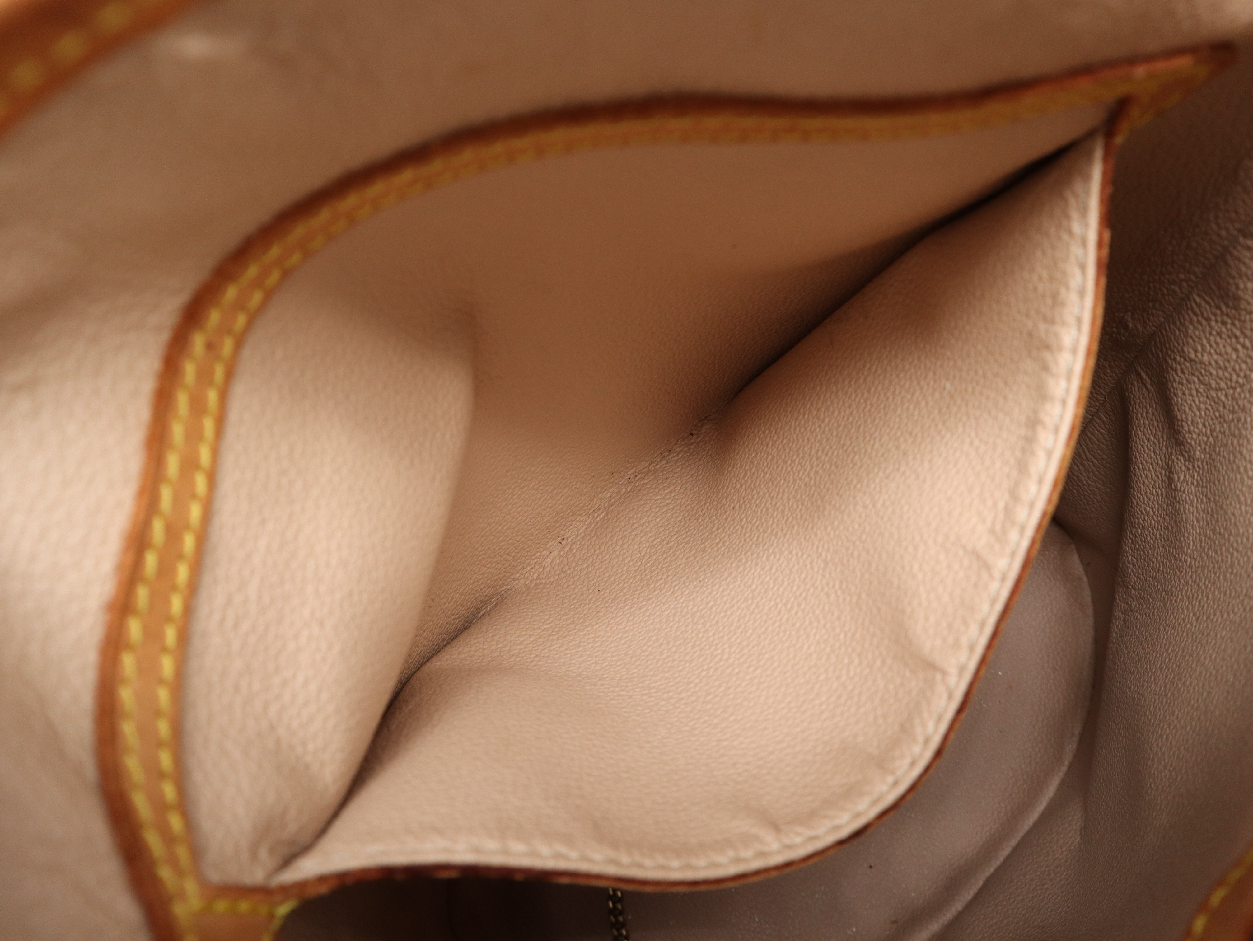 M42238 Monogram Bucket PM Tote Bag — view 12