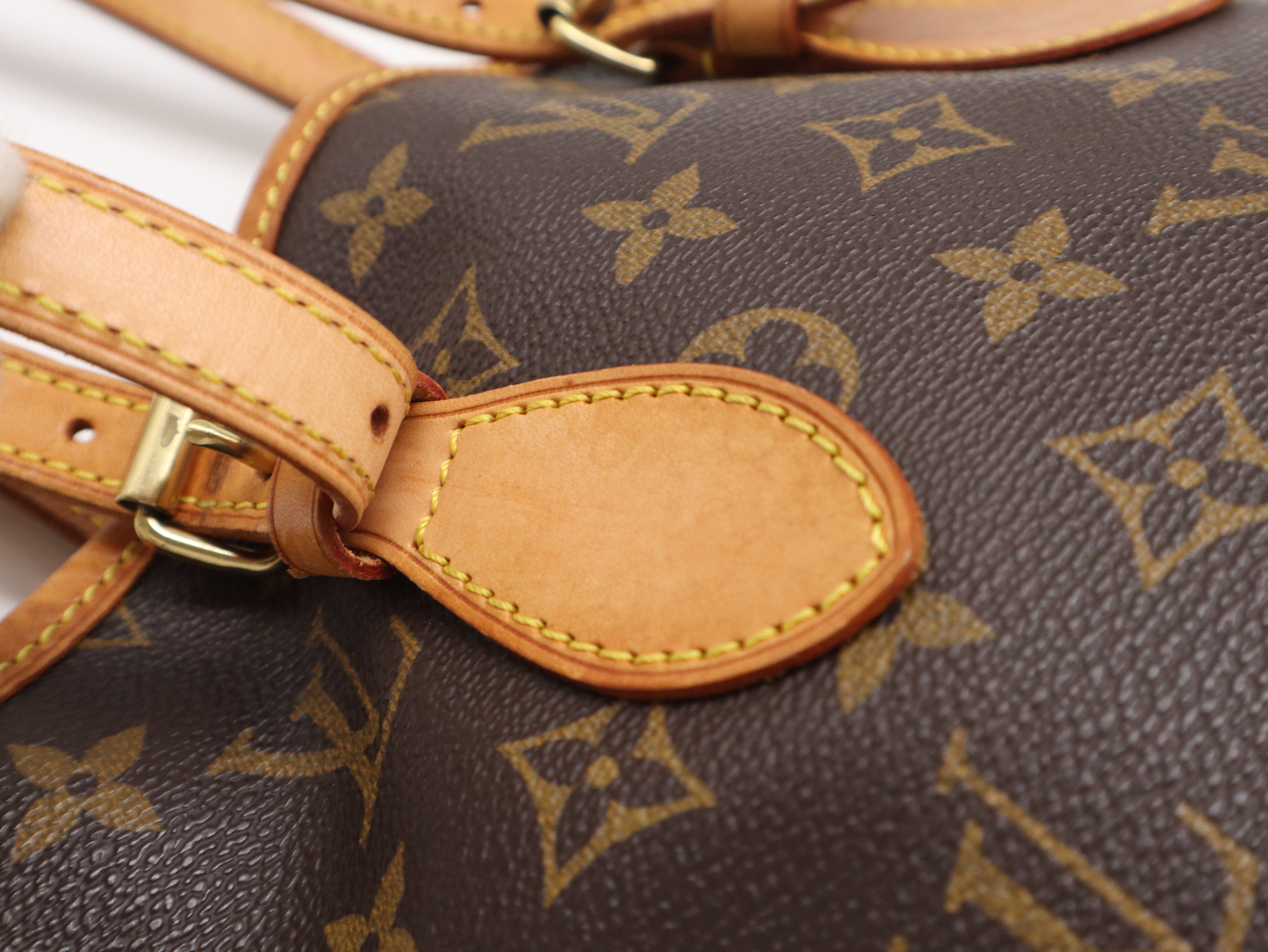 M42238 Monogram Bucket PM Tote Bag — view 8