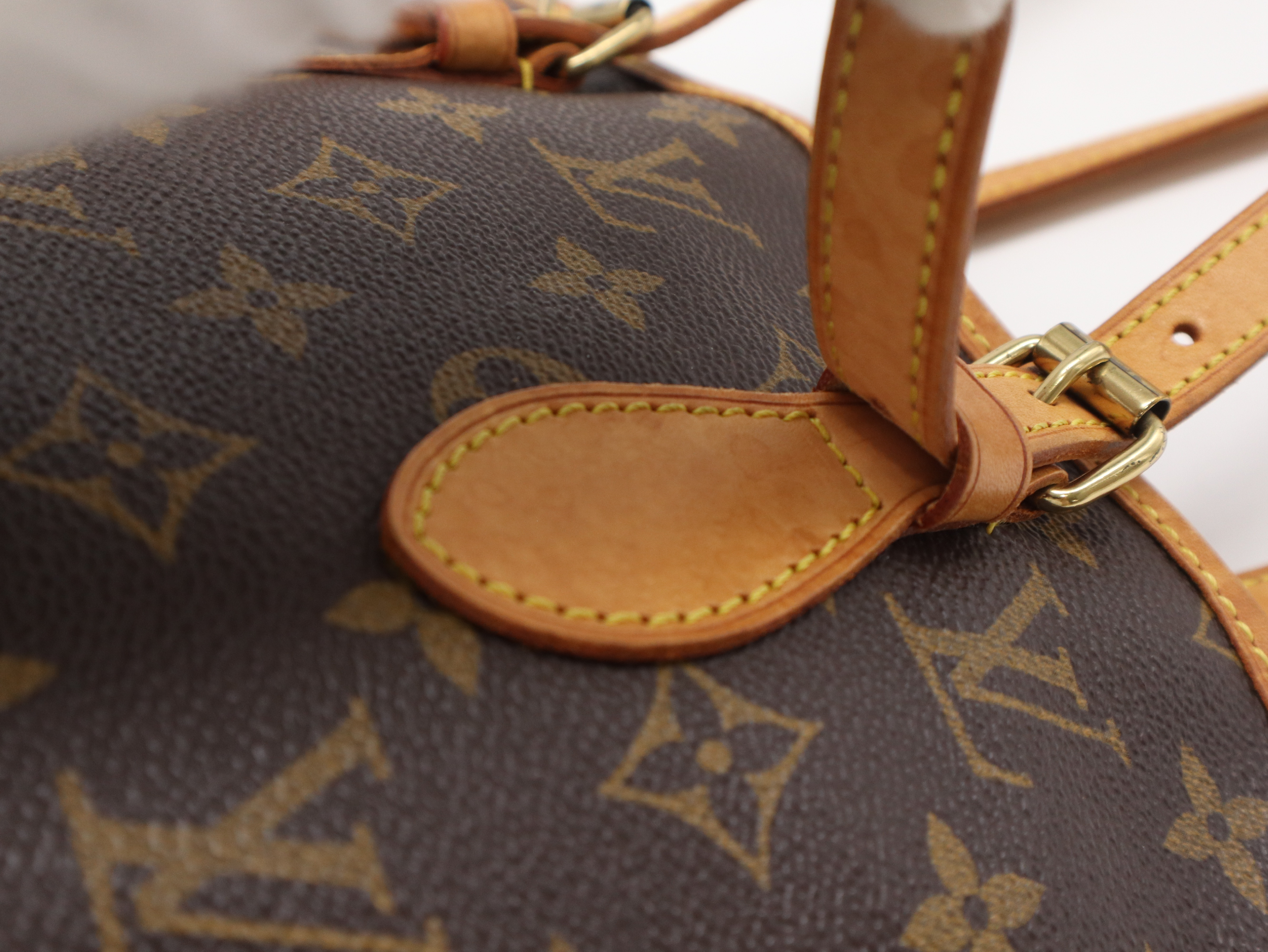 M42238 Monogram Bucket PM Tote Bag — view 9