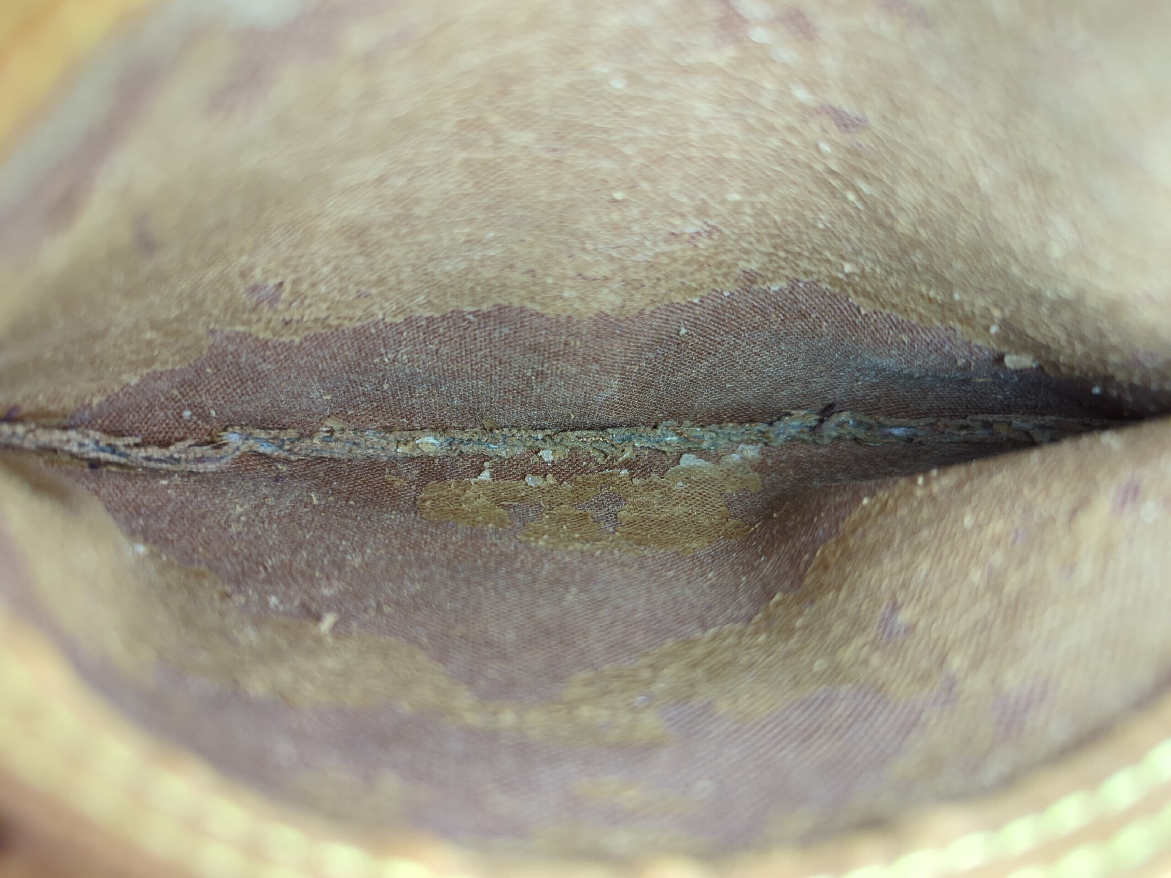 M41526 Monogram Speedy 30 Handbag — view 11